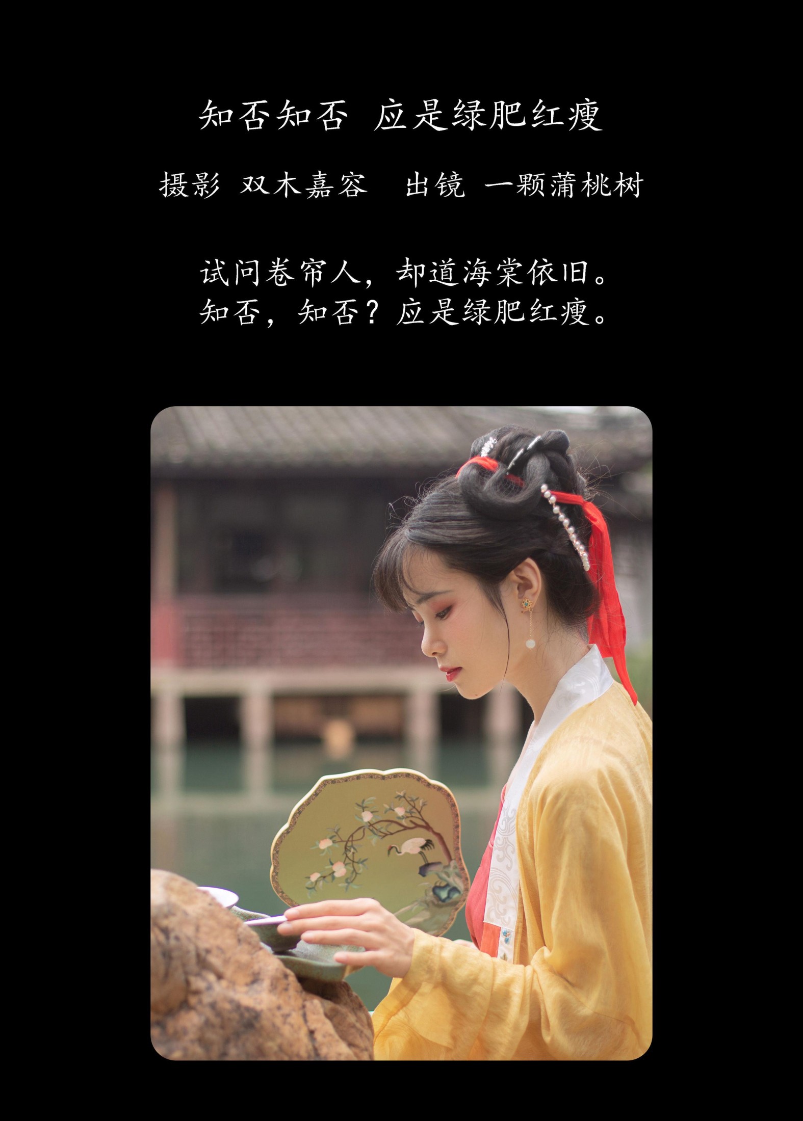 一颗蒲桃树 – 《知否知否，应是绿肥红瘦》[28P]