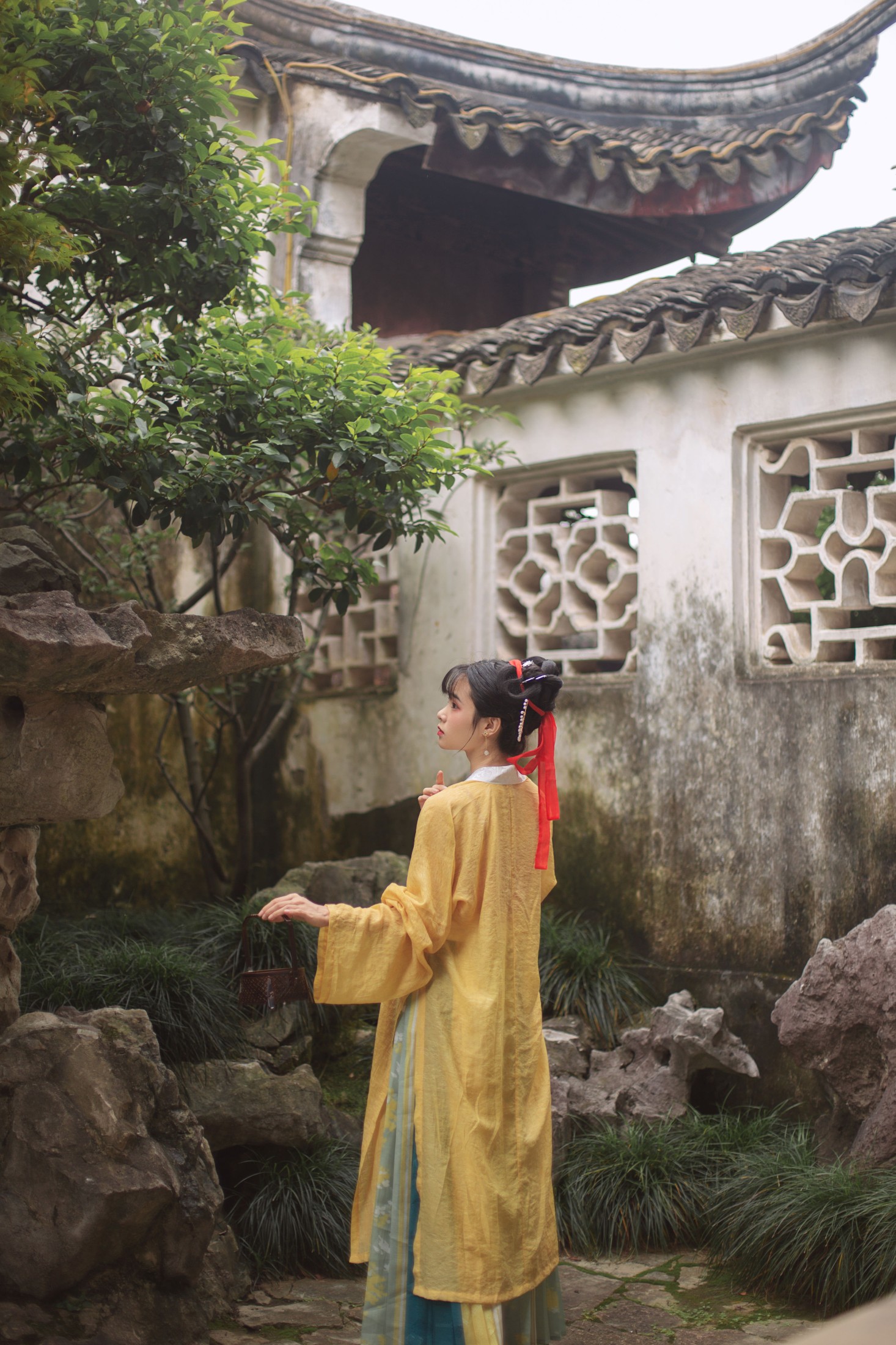 一颗蒲桃树 – 《知否知否，应是绿肥红瘦》[28P]