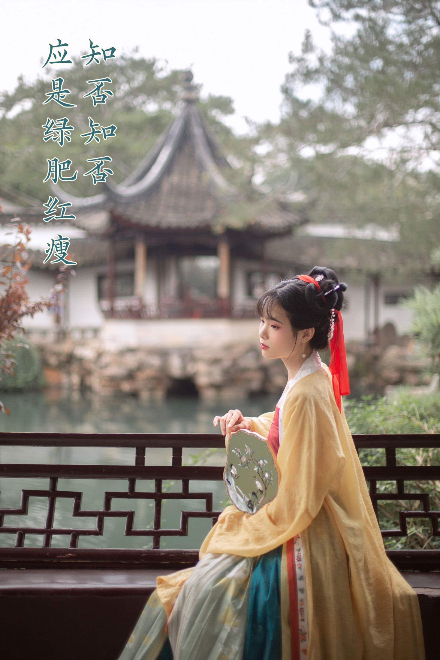 一颗蒲桃树 – 《知否知否，应是绿肥红瘦》[28P]