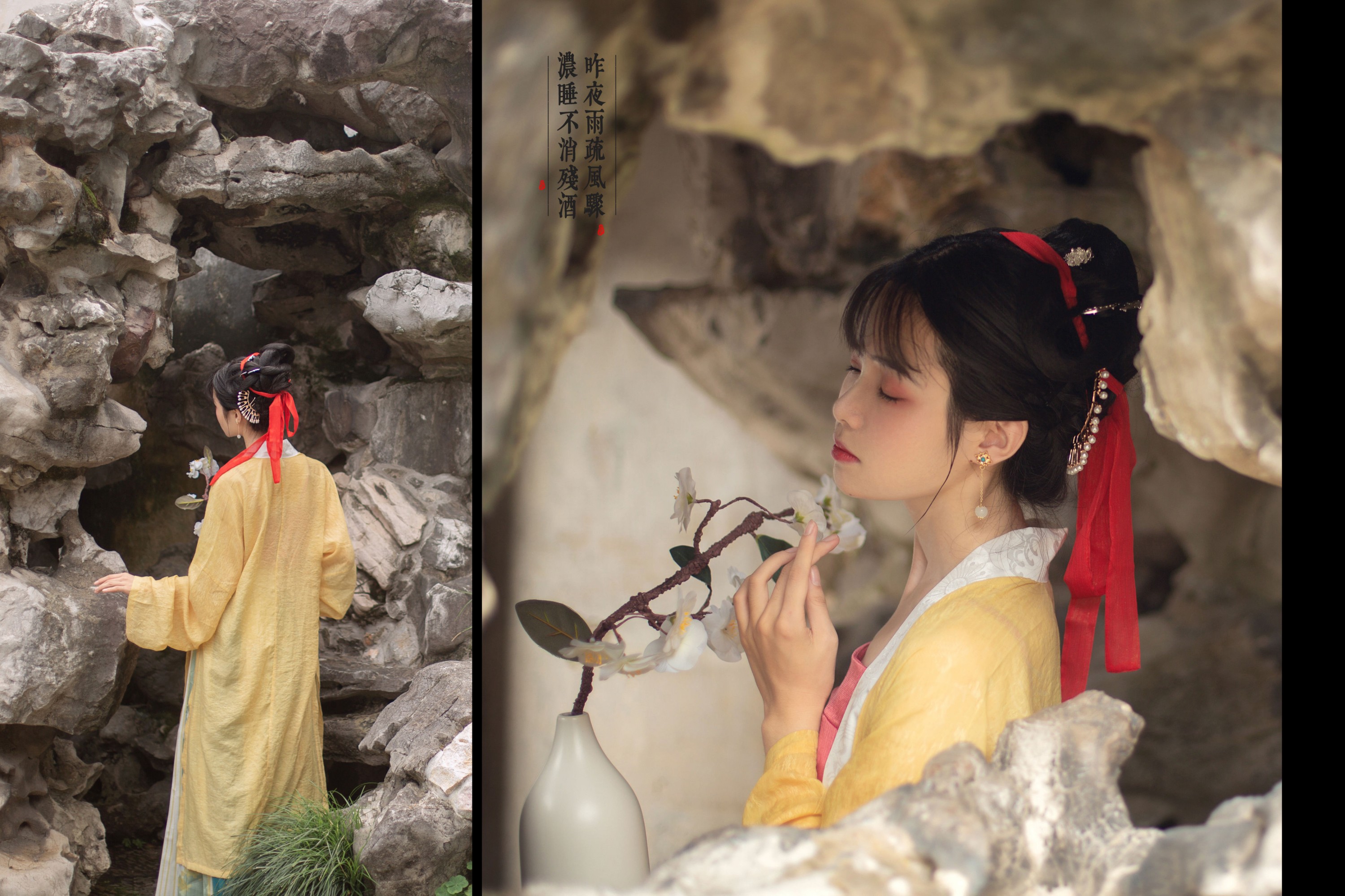 一颗蒲桃树 – 《知否知否，应是绿肥红瘦》[28P]