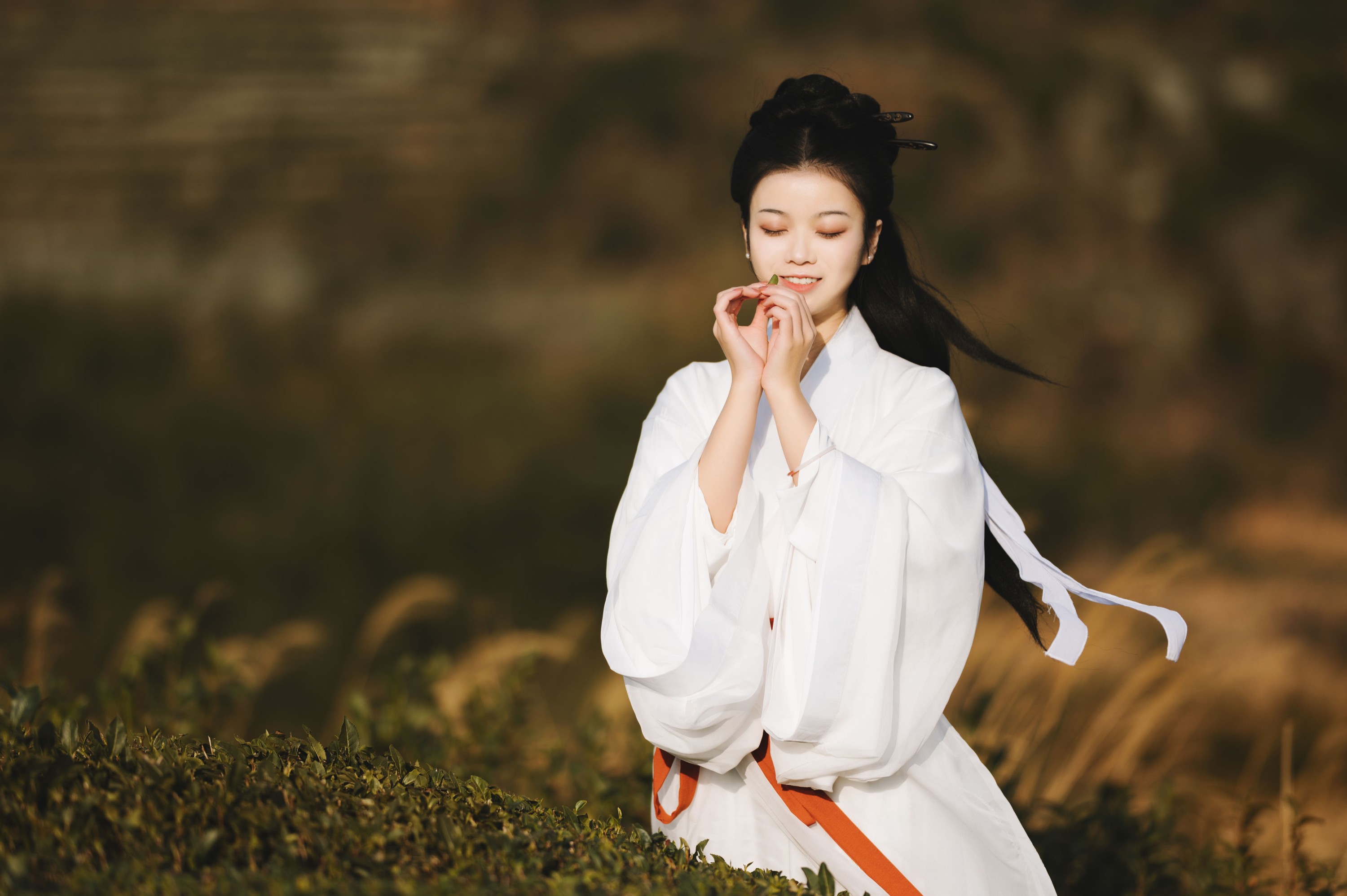 藏茗茗茗茗 – 《采茶》[31P] 插图3