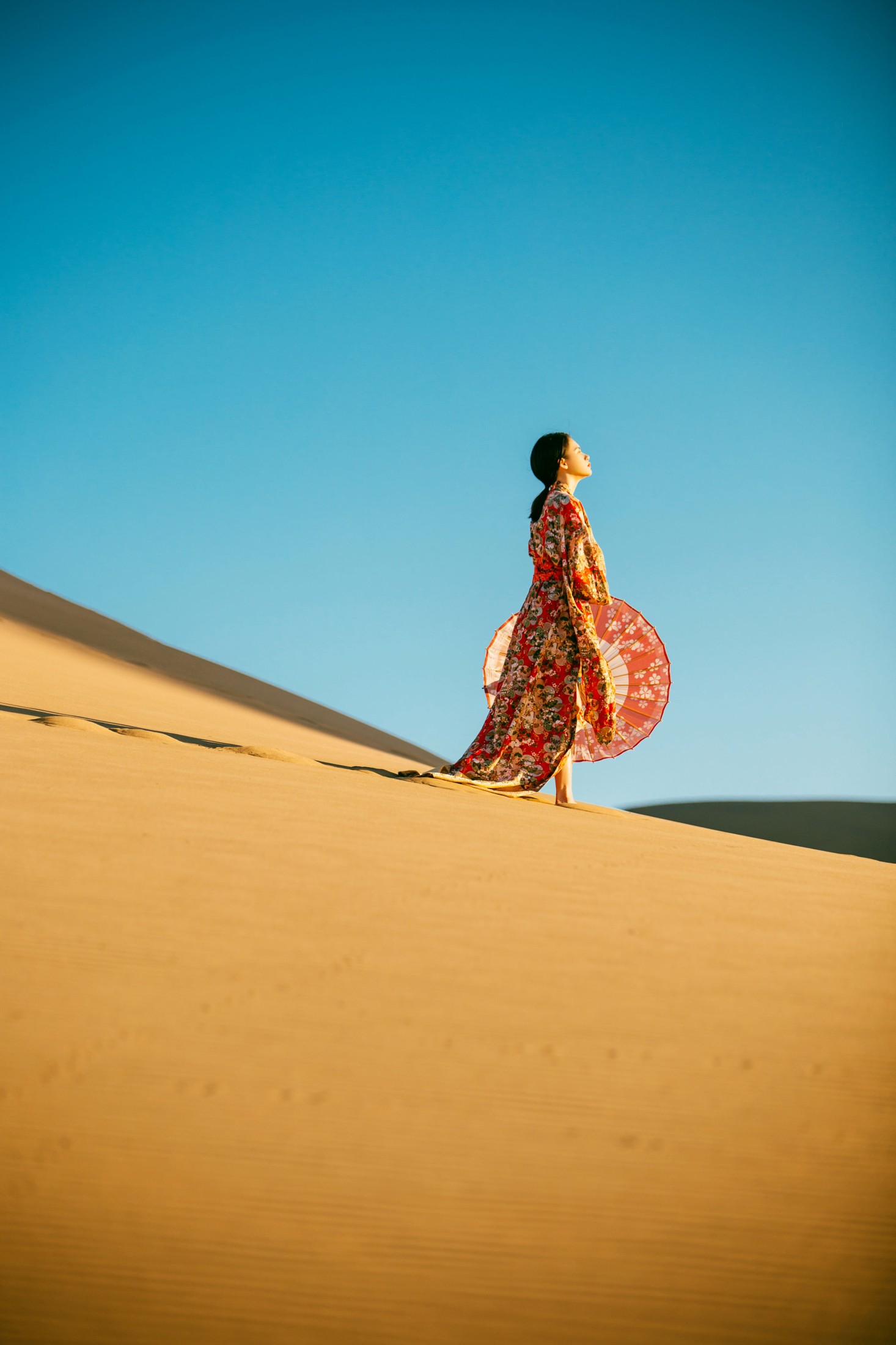 小圆呐 – 《萧瑟》[24P]