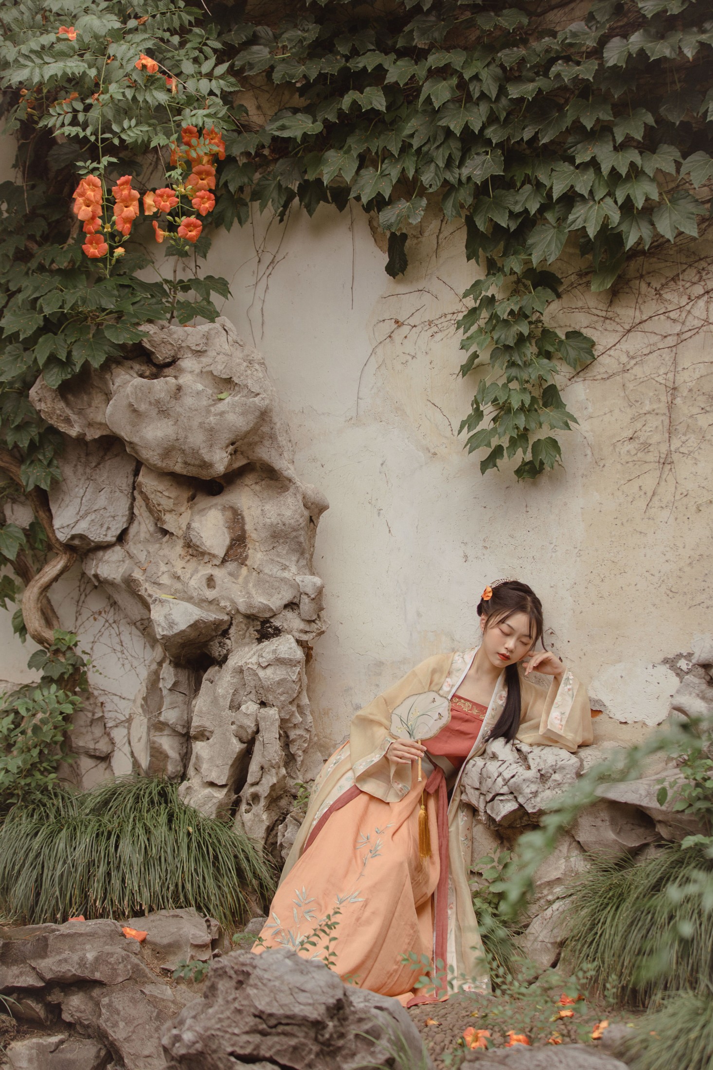 安安安格拉 – 《凌霄花》[23P]