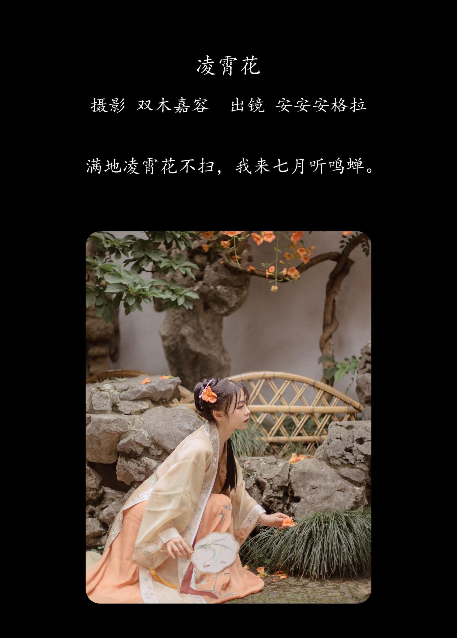 安安安格拉 – 《凌霄花》[23P]