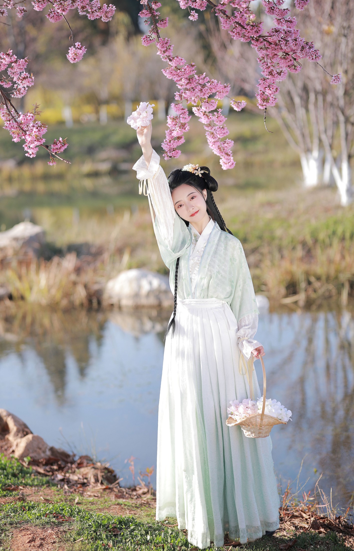 与芳 – 《樱花》[21P]