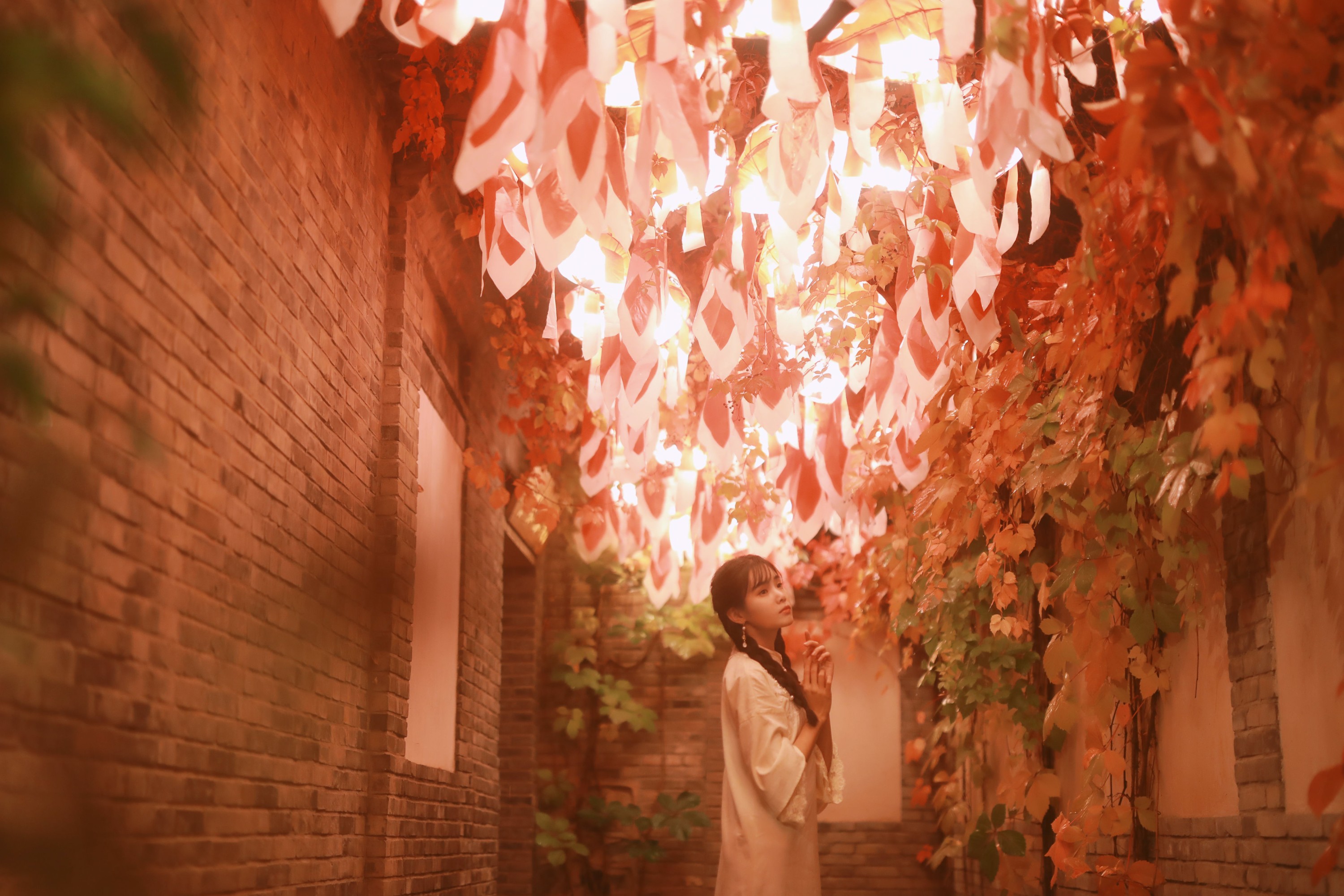 一颗蒲桃树 – 《我与春风皆过客，你携秋水揽星河》[31P]