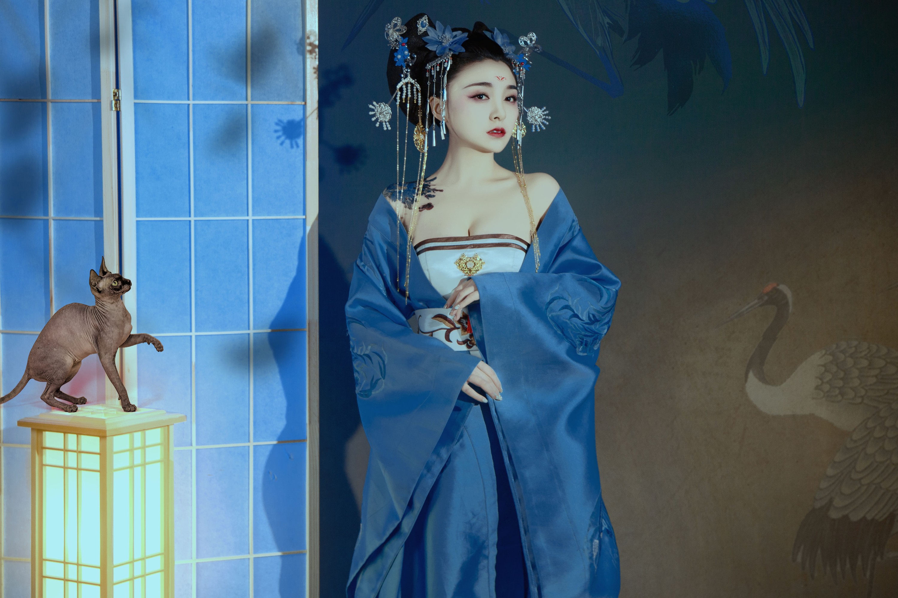 倩宝 – 《夜笙鹤2》[22P]