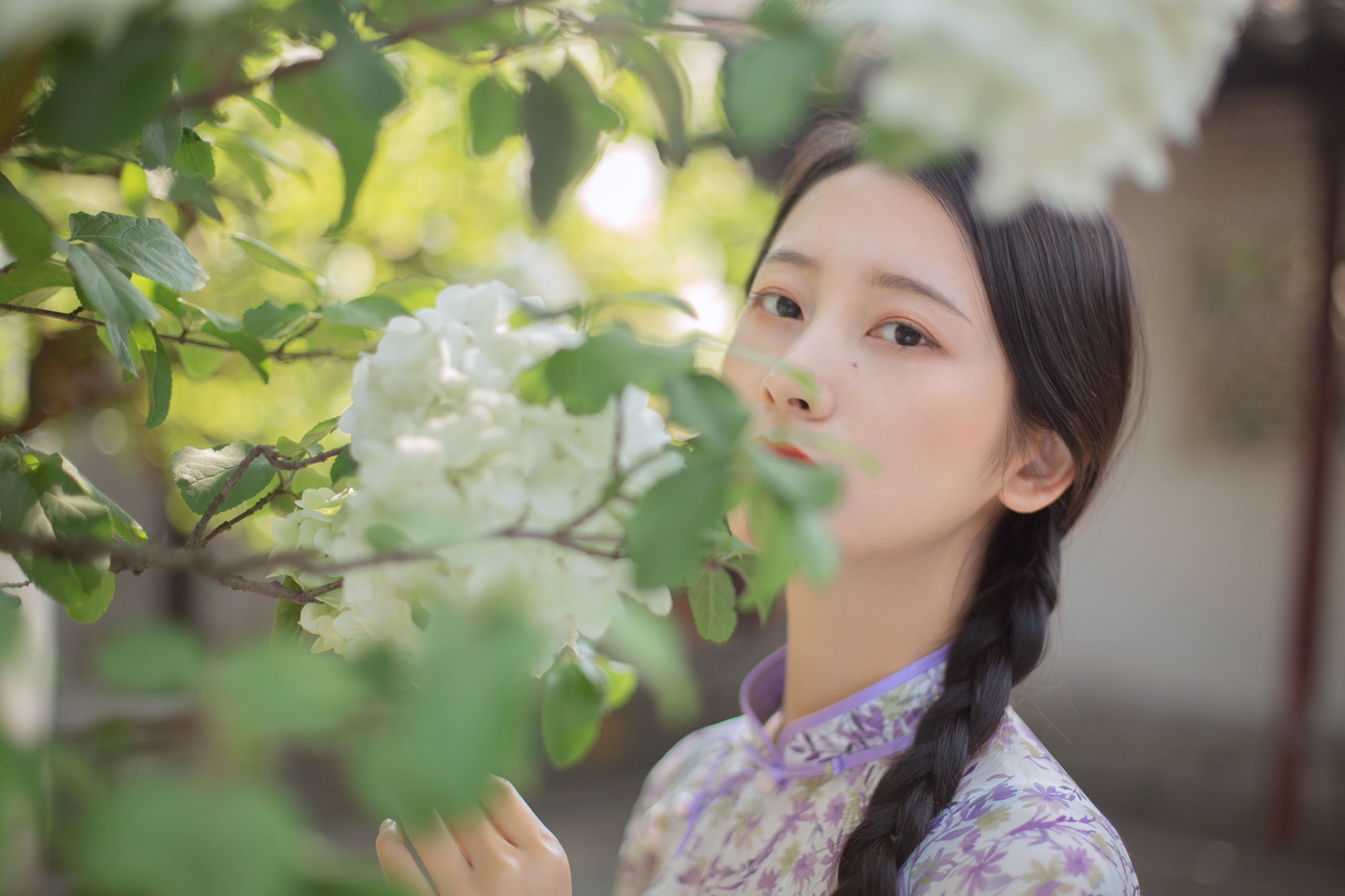 五月的三花猫 – 《穆穆清风至》[29P]