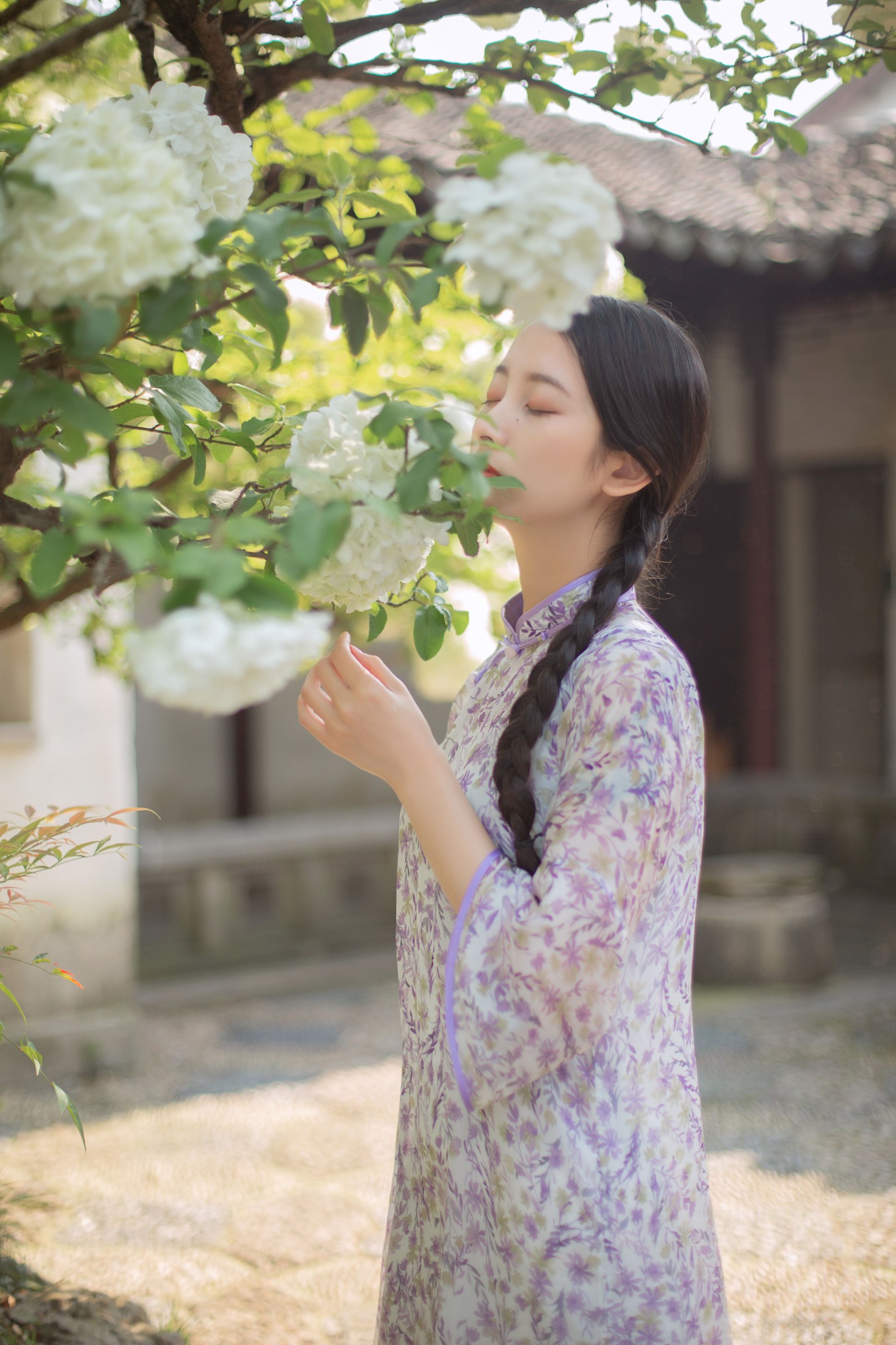 五月的三花猫 – 《穆穆清风至》[29P]