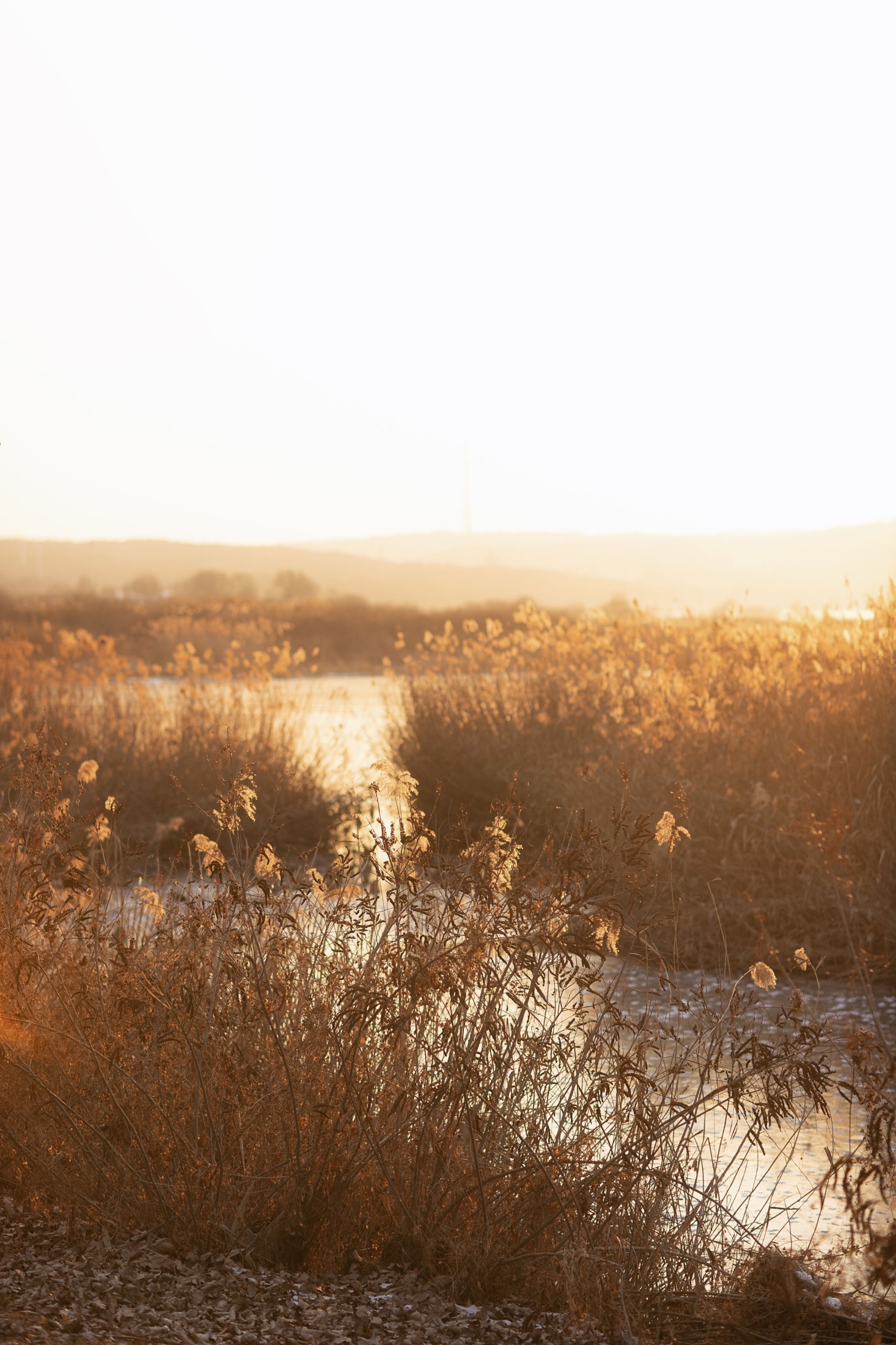 电波Nancy – 《大明》[28P]