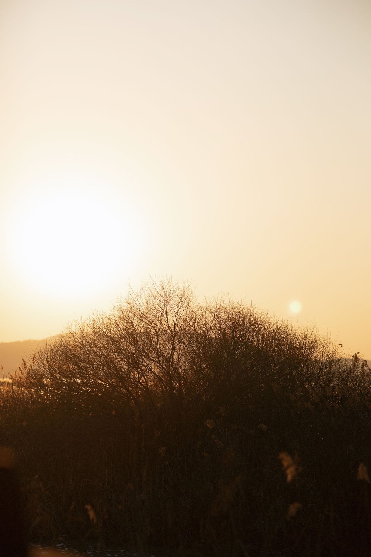 电波Nancy – 《大明》[28P]