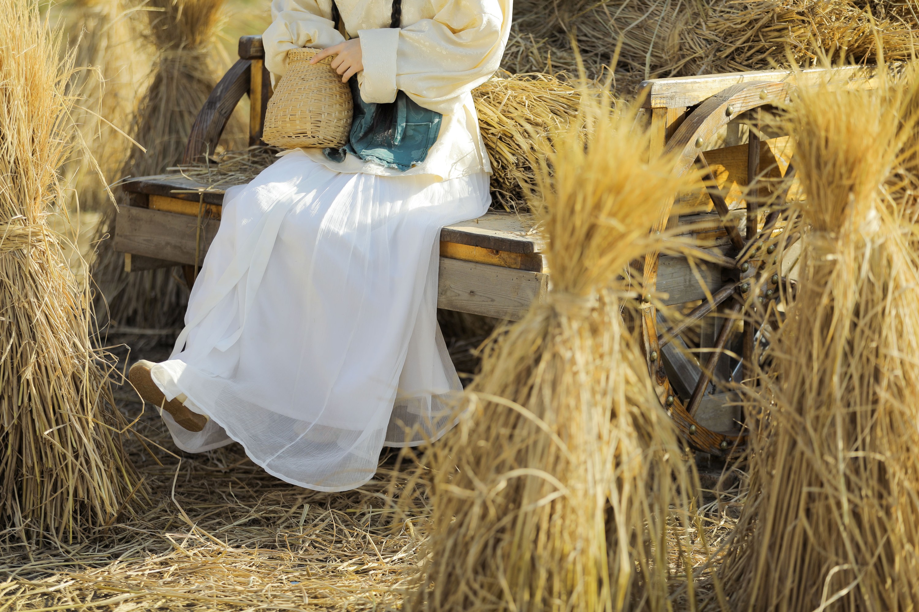 芝芝琪 – 《芒种》[22P]