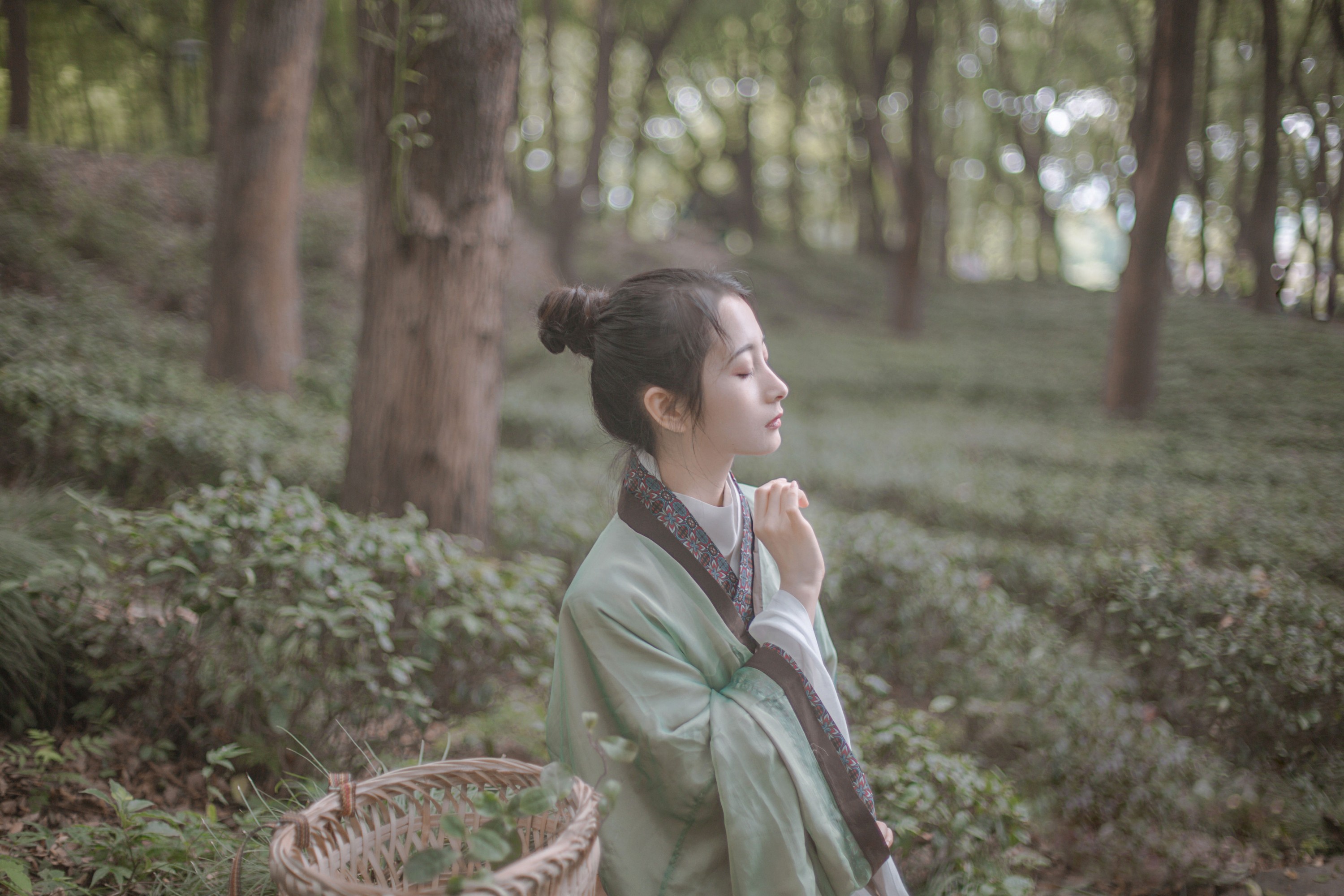 五月的三花猫 – 《赠隐者》[23P] 插图5