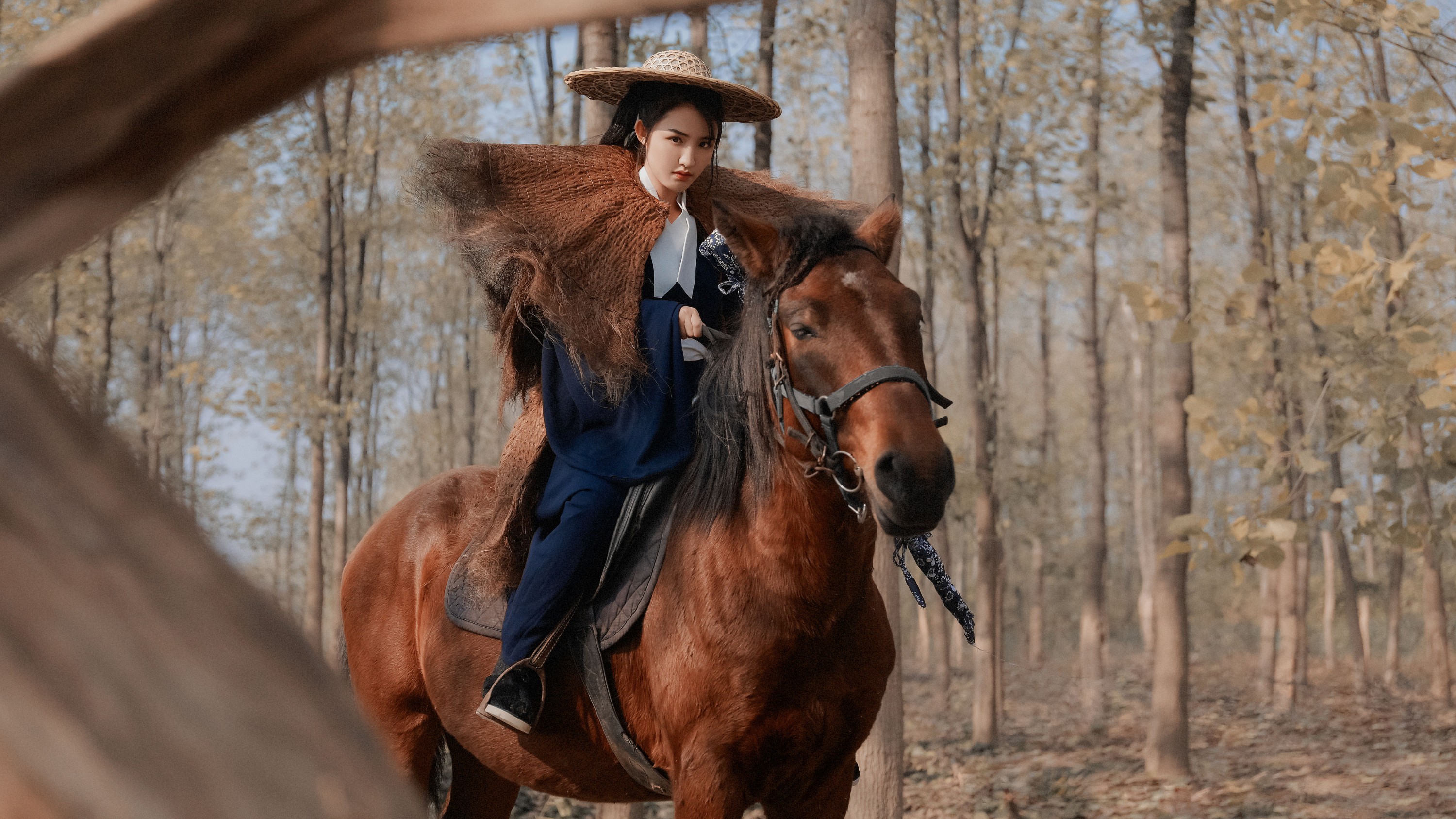 Abbye_e章 – 《天下潮》[22P]