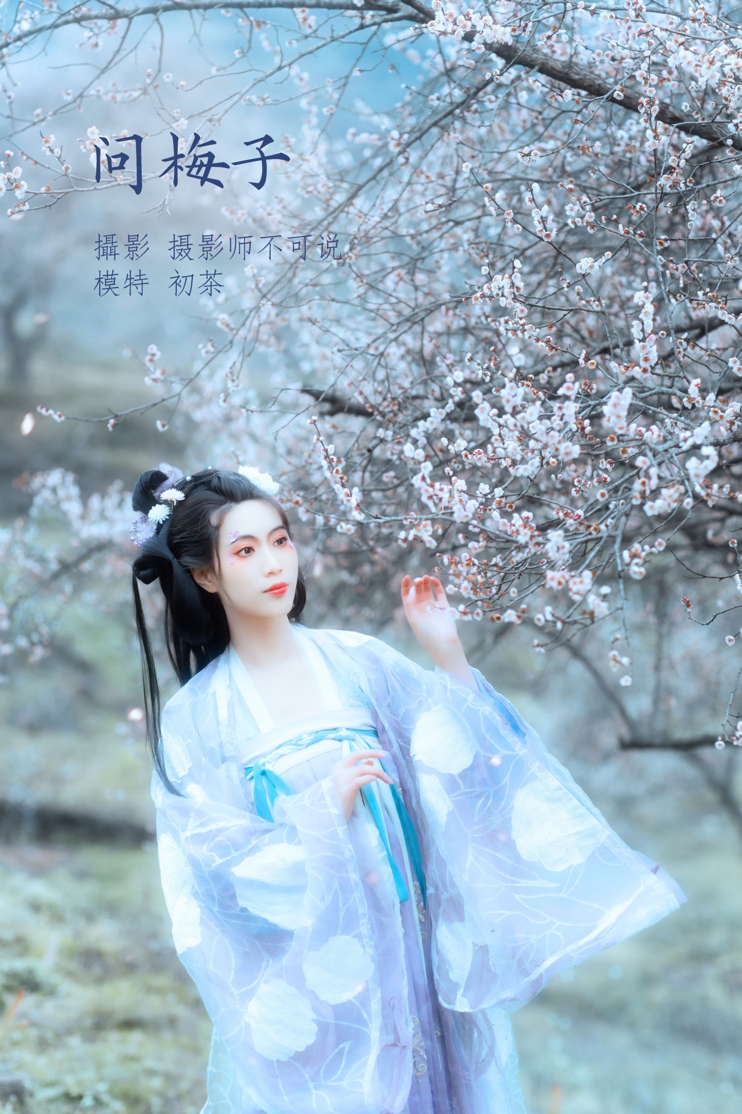 初茶 – 《问梅子》[37P]