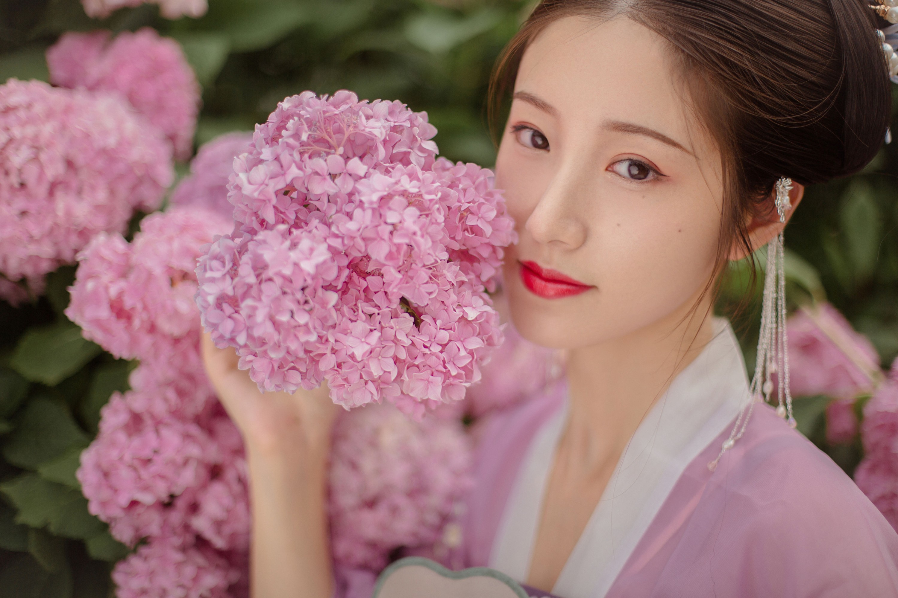 大仙奶奶 – 《十二花神令之八仙花》[24P]