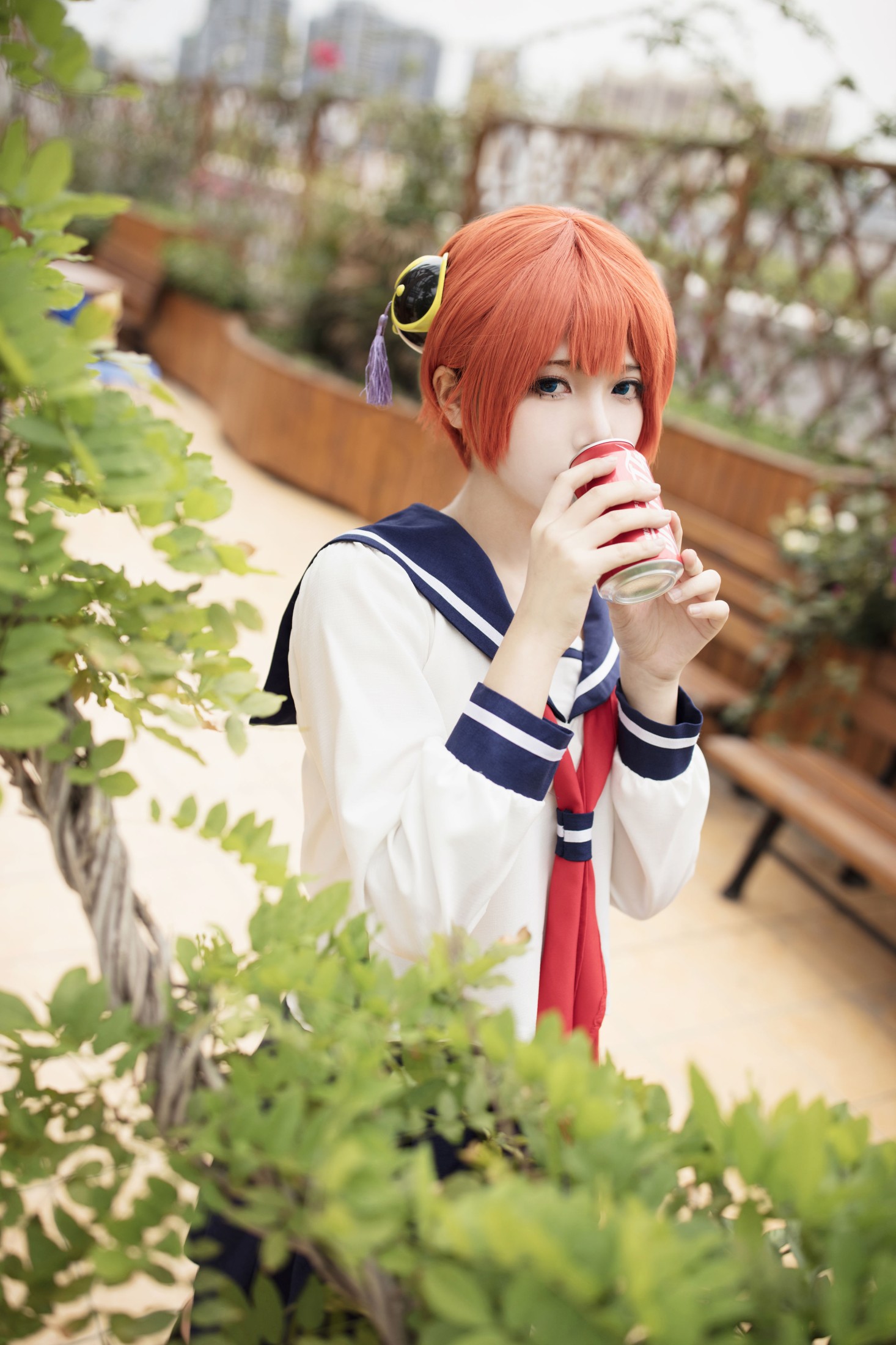 灰猫 – 《银魂：神乐3Z》[25P]