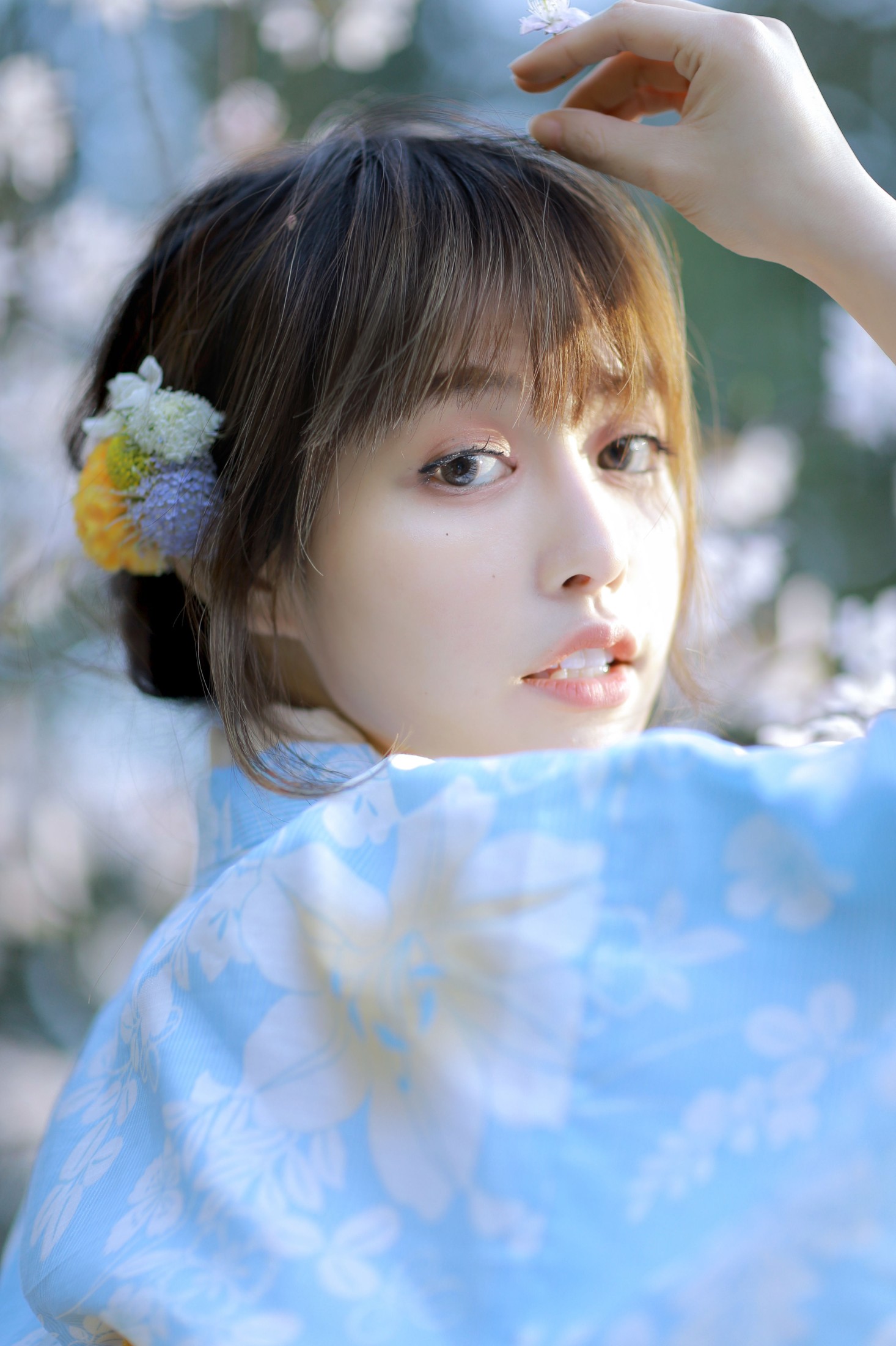 屈凌西 – 《樱花物语》[27P]