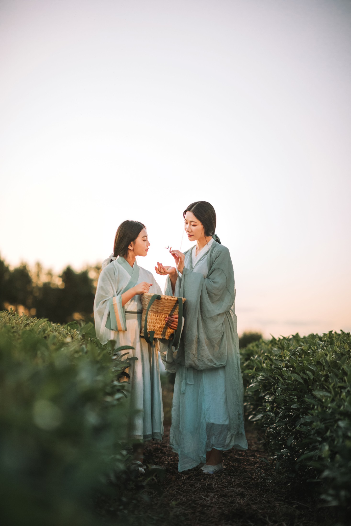 木哥 – 《茶园》[33P]