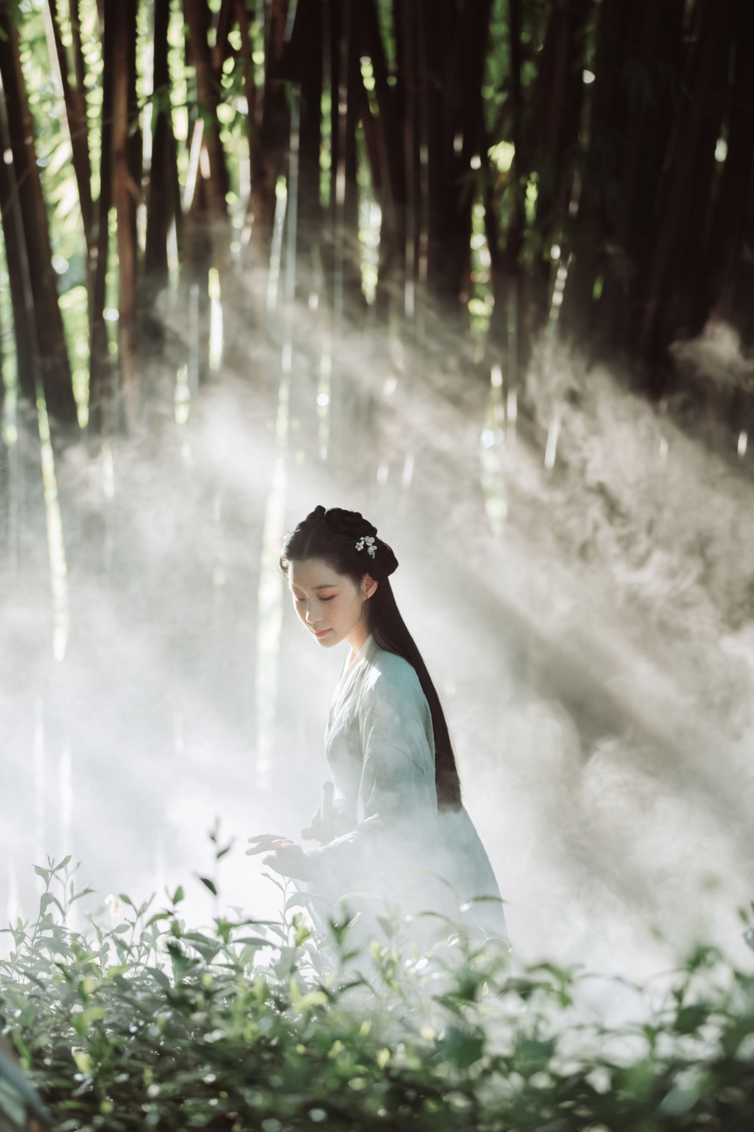 木哥 – 《茶园》[33P]