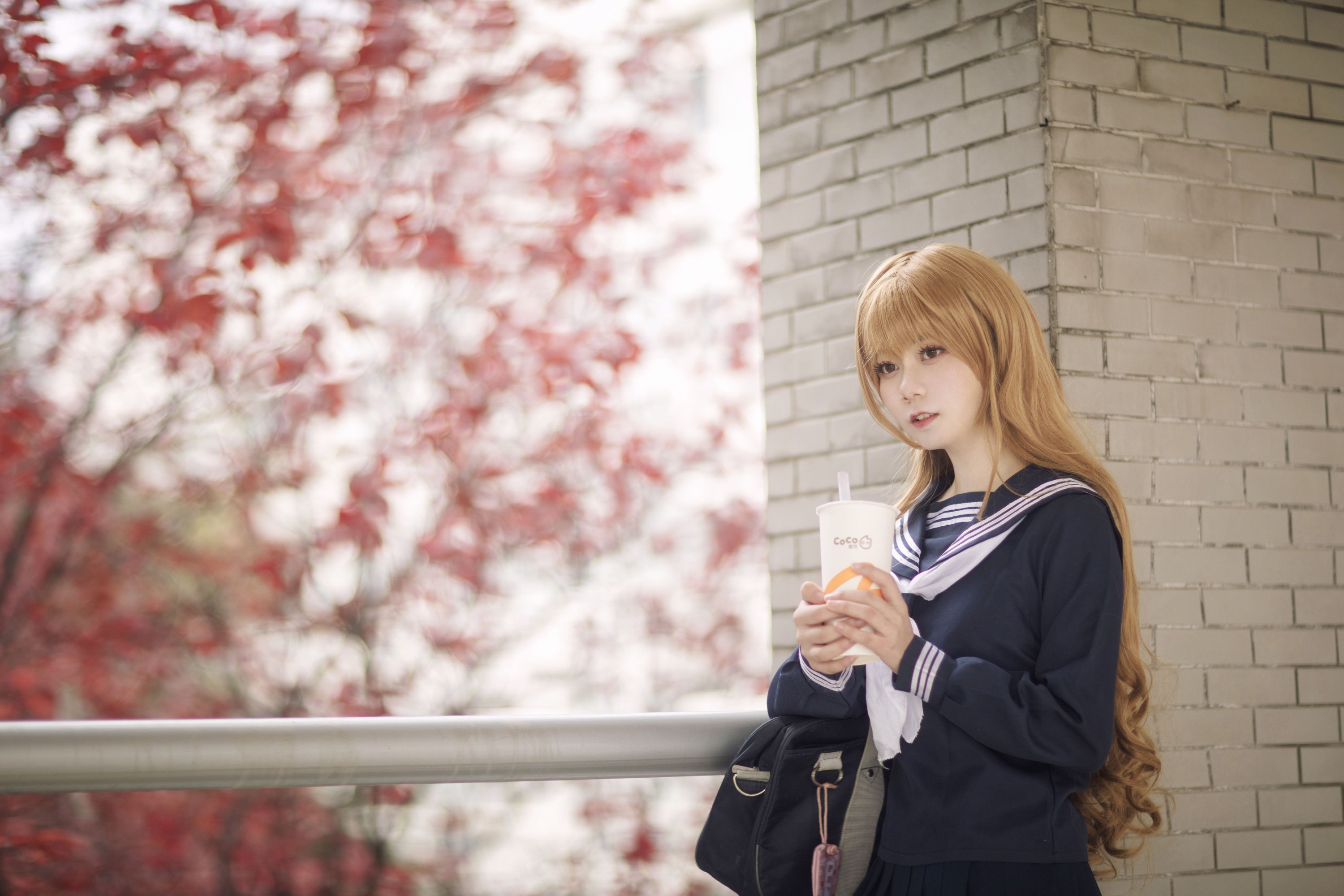 森祁 – 《龙与虎：逢坂大河》[20P]