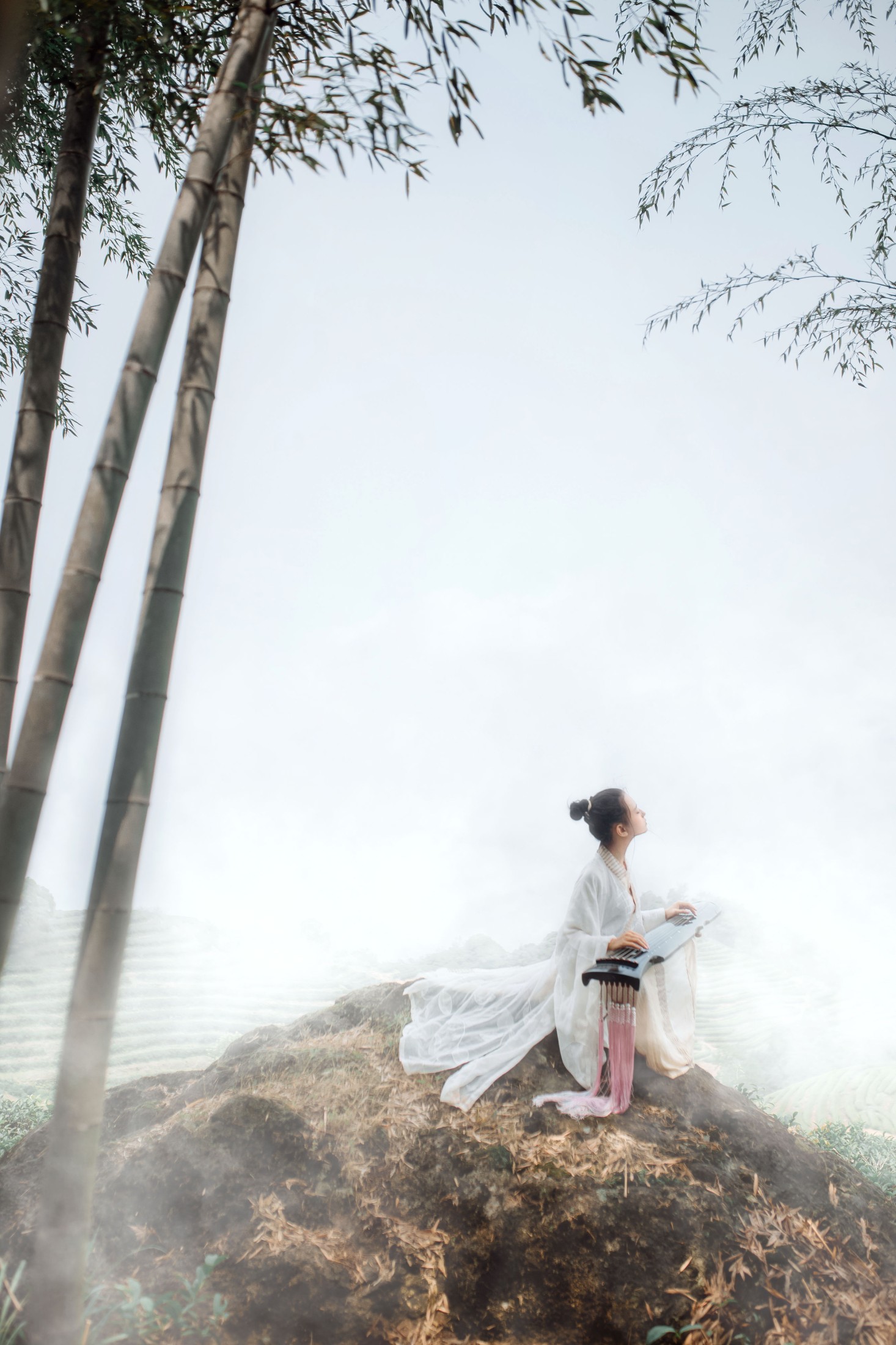 叶初婳 – 《采茶纪》[23P] 插图3