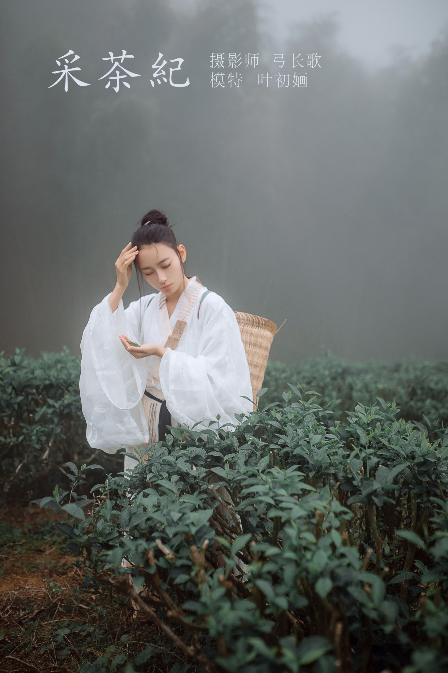 叶初婳 – 《采茶纪》[23P]