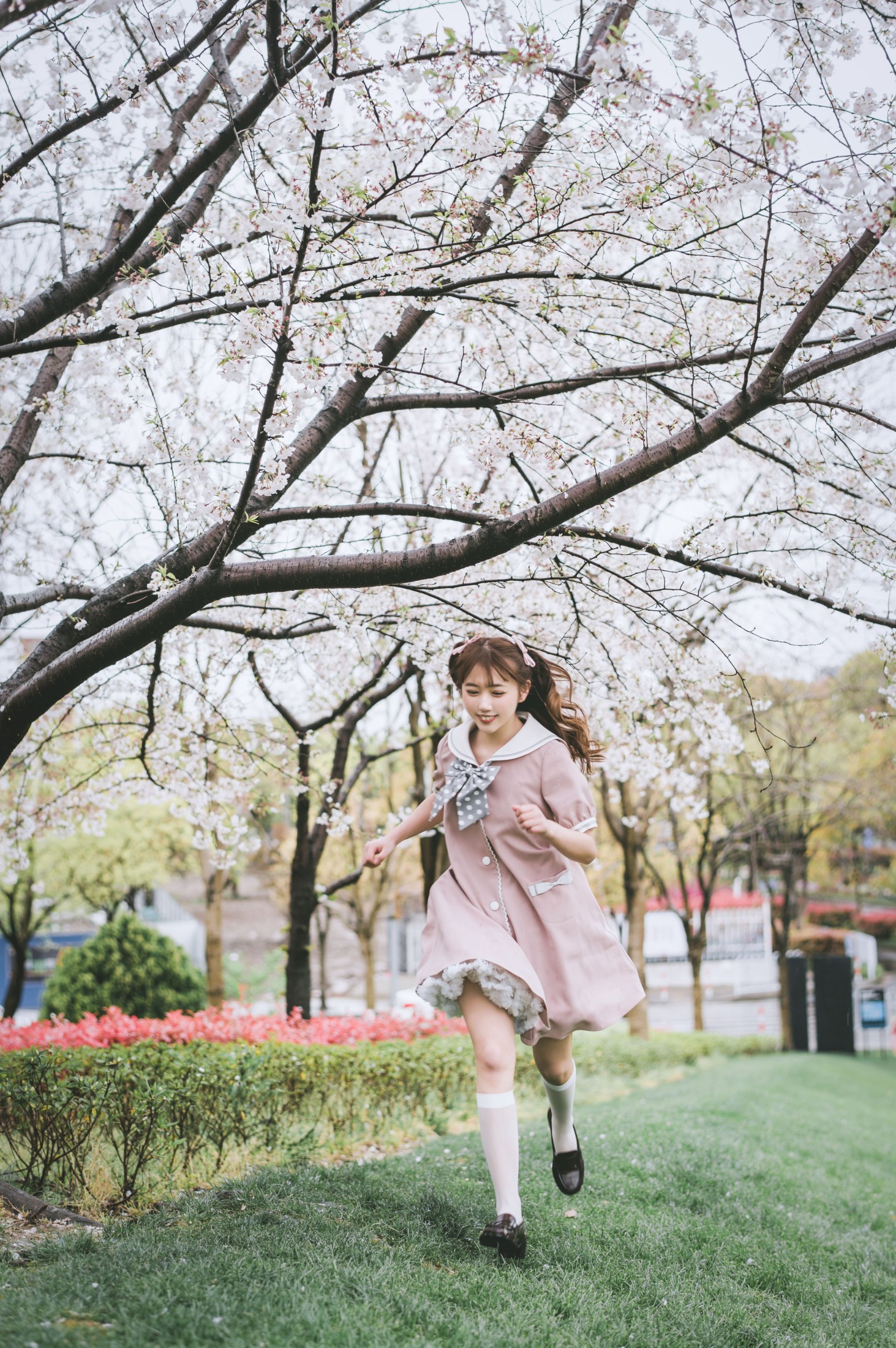 田子 – 《雨樱》[31P]