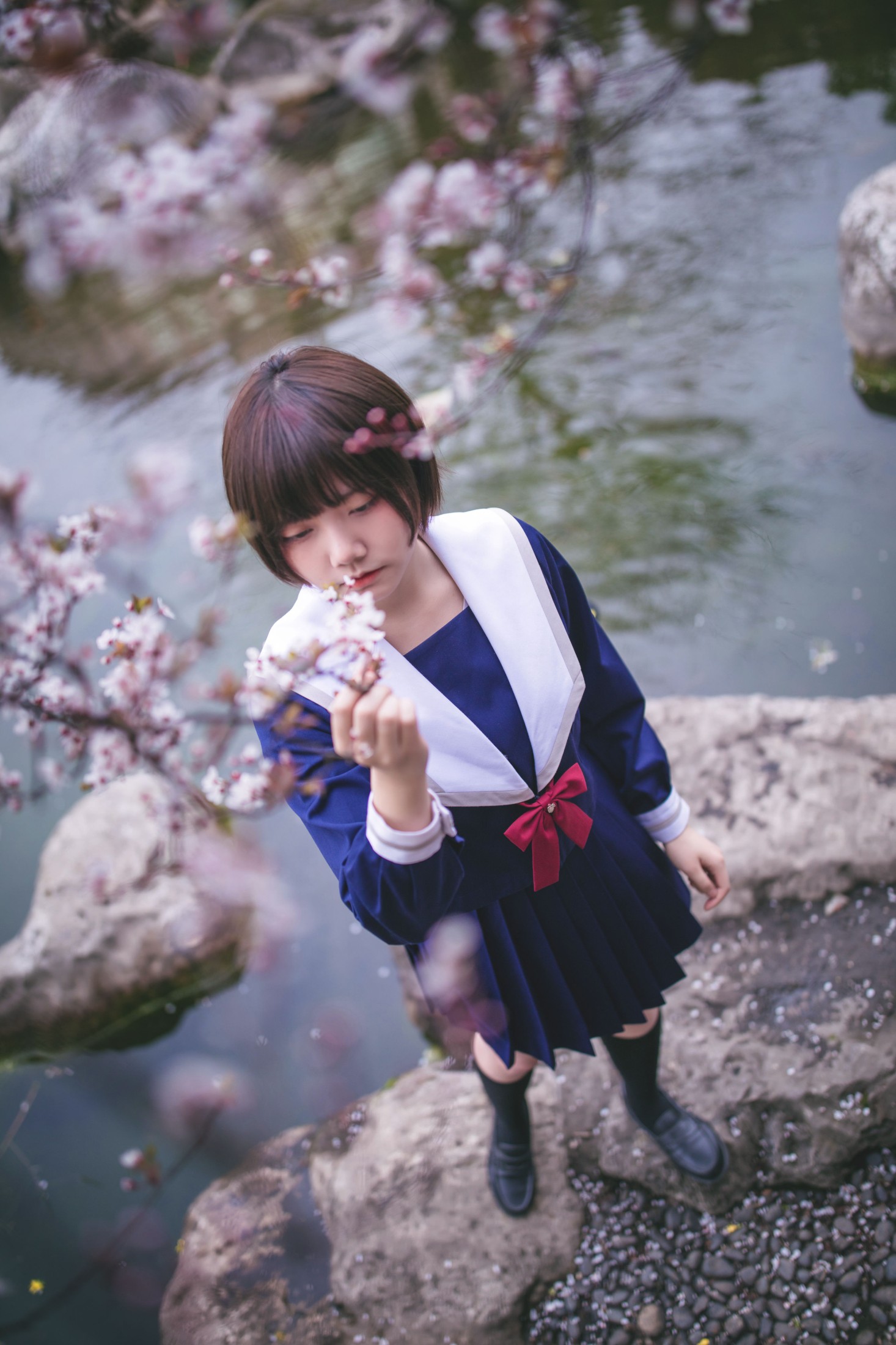 灰猫 – 《樱花树下》[20P]