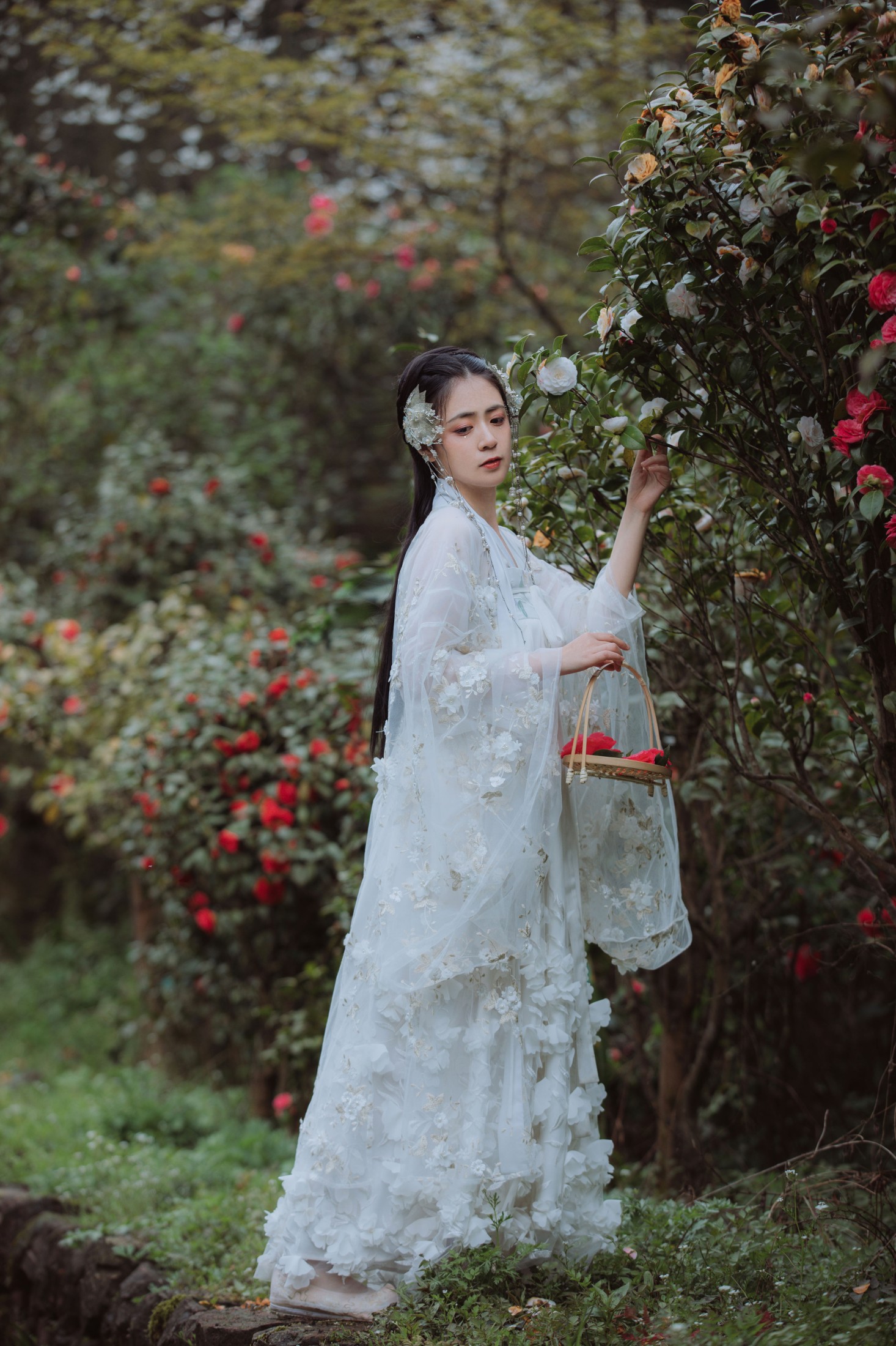 瞳人儿 – 《清平乐》[25P]