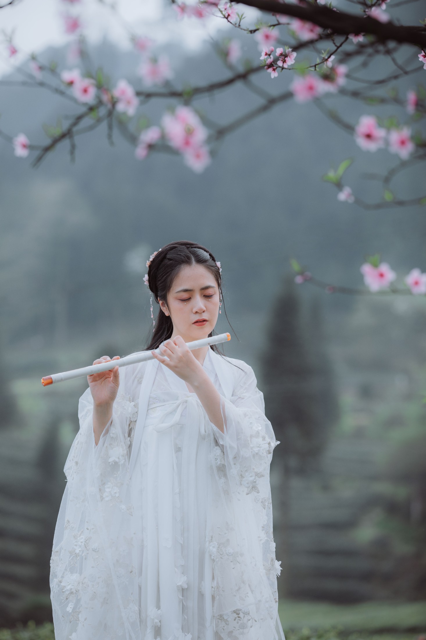 瞳人儿 – 《清平乐》[25P]