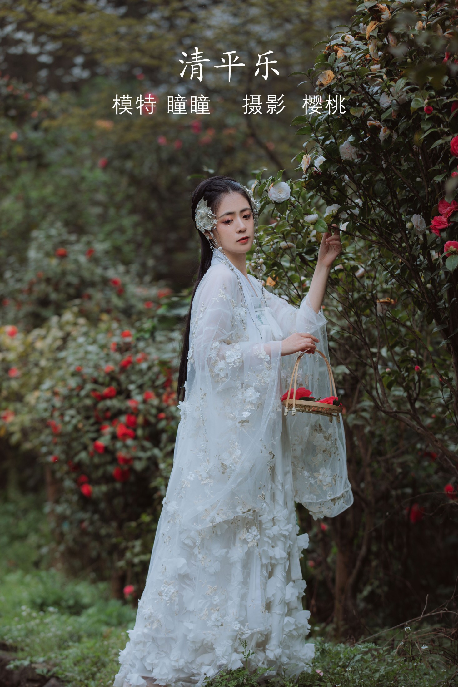 瞳人儿 – 《清平乐》[25P]