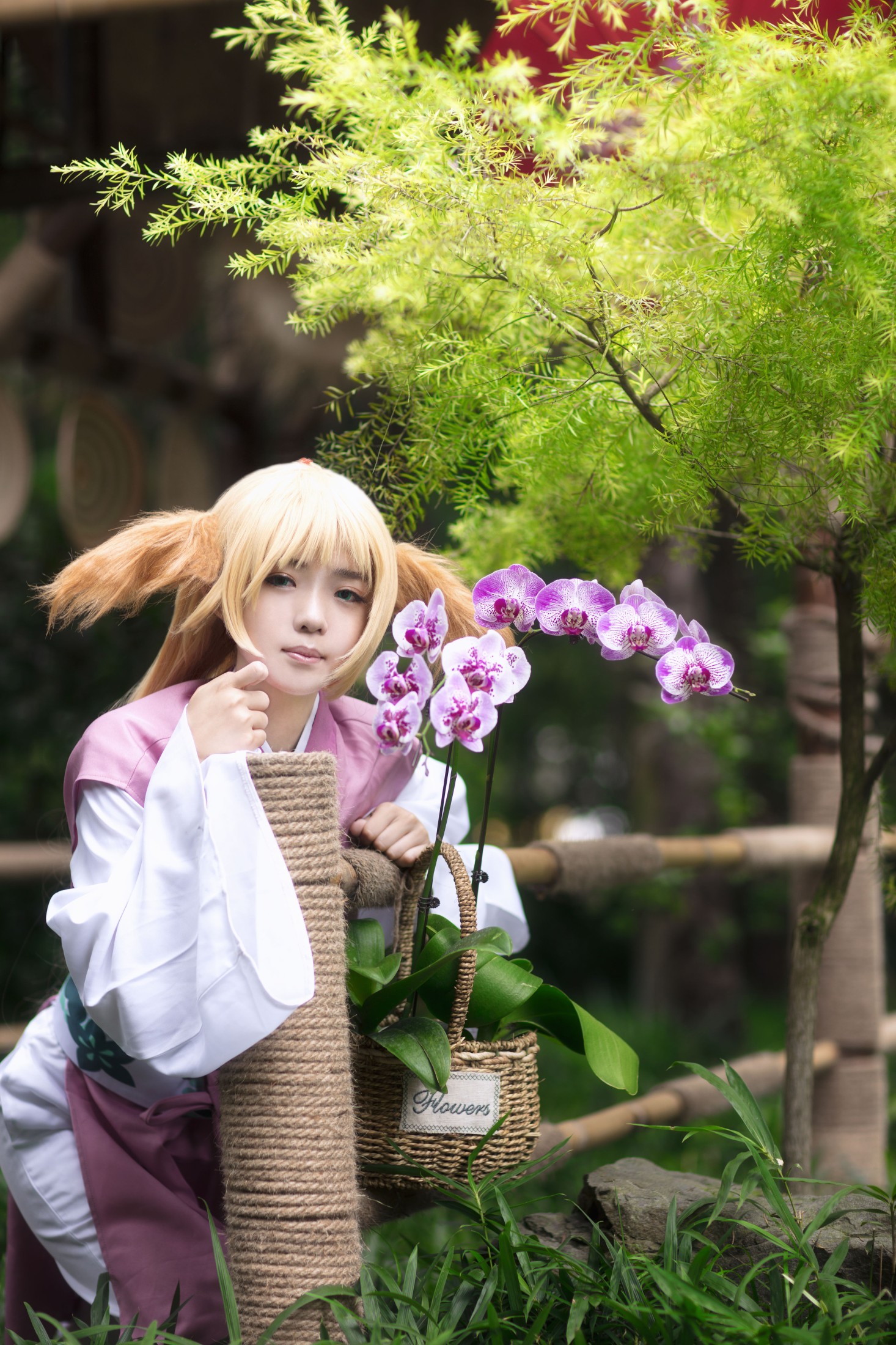 十夜 – 《涂山苏苏》[30P]