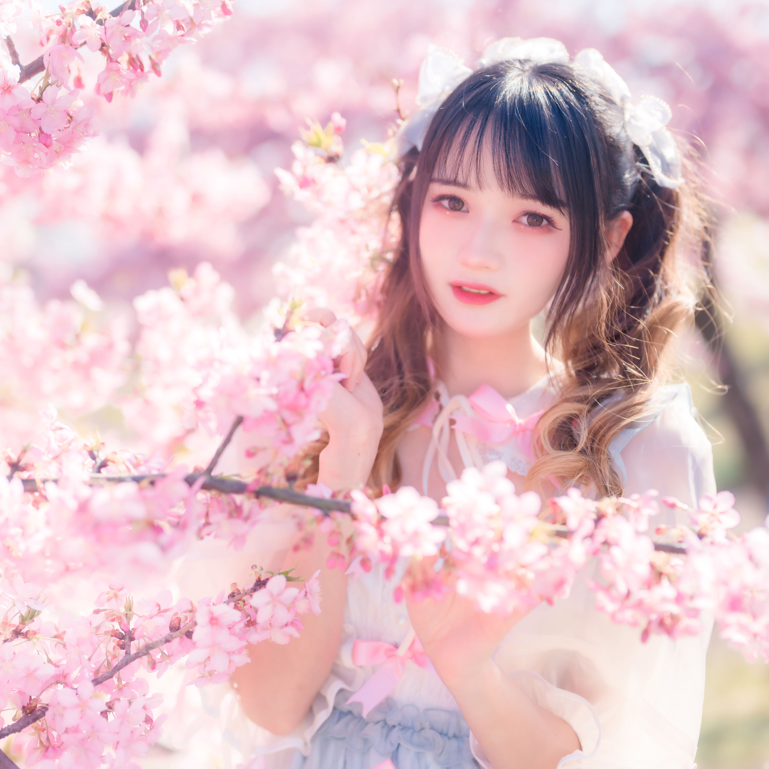 兔子Zzz不吃胡萝卜 – 《粉色春天》[24P]