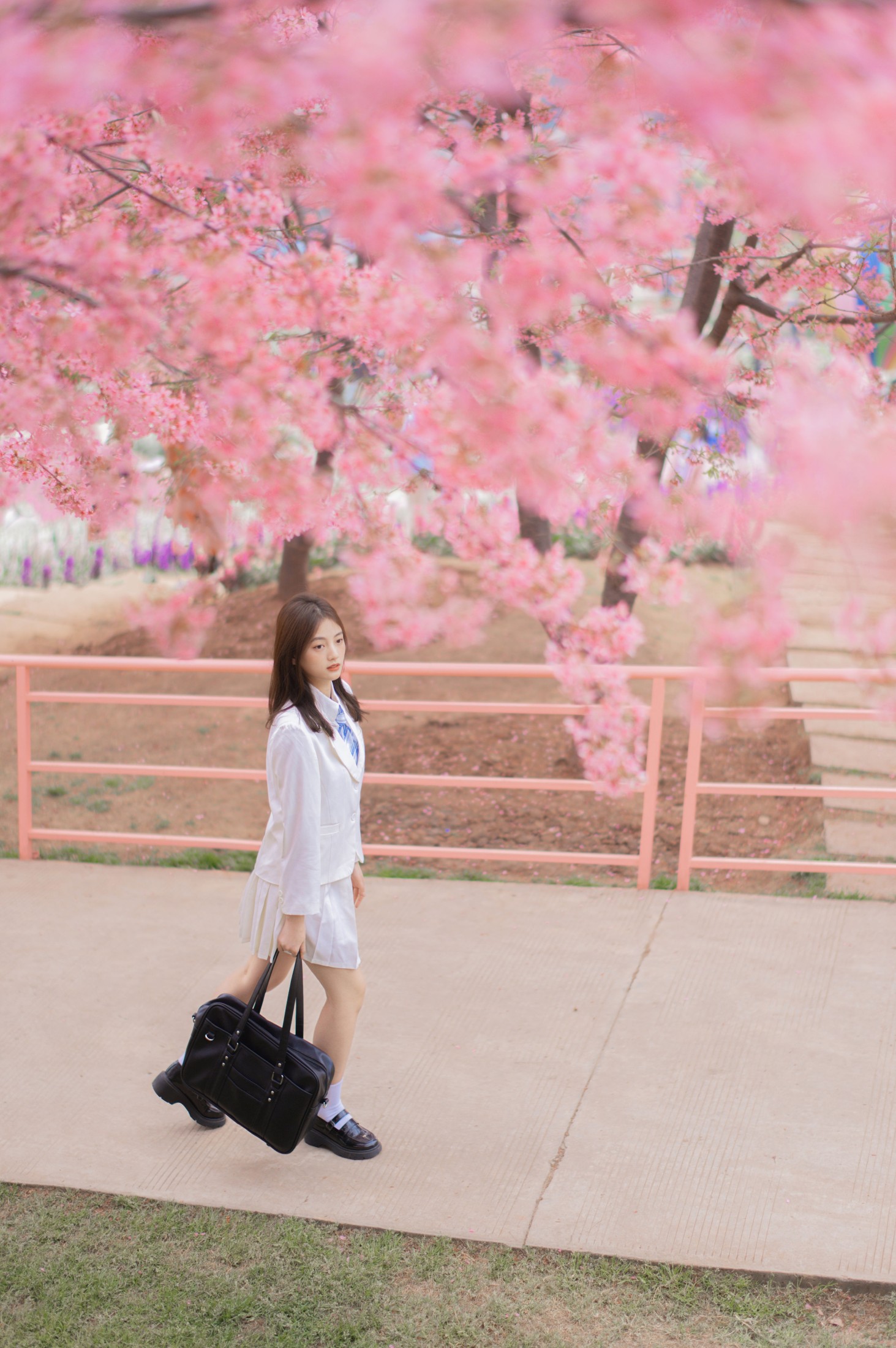 倾倾 – 《樱吹叶》[20P]