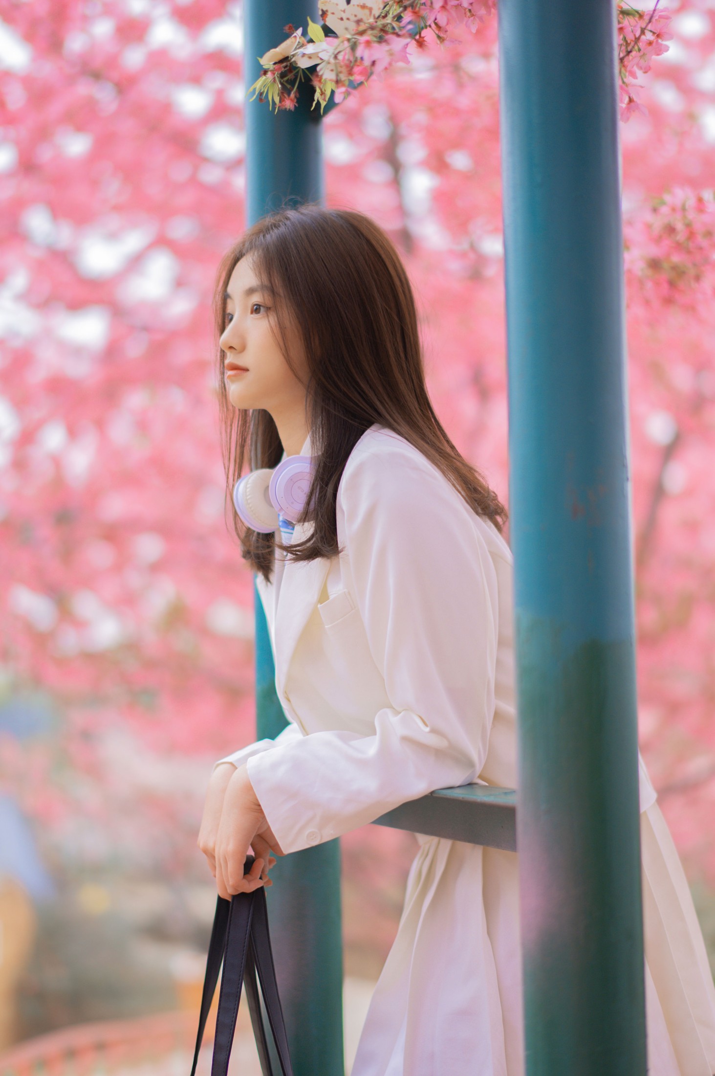 倾倾 – 《樱吹叶》[20P]