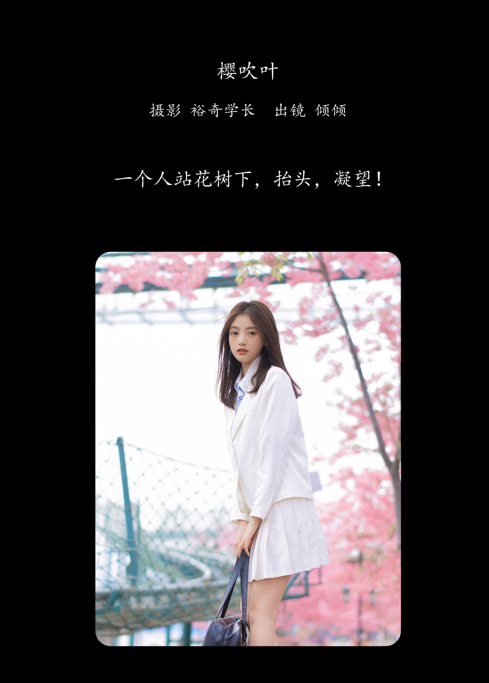 倾倾 – 《樱吹叶》[20P]