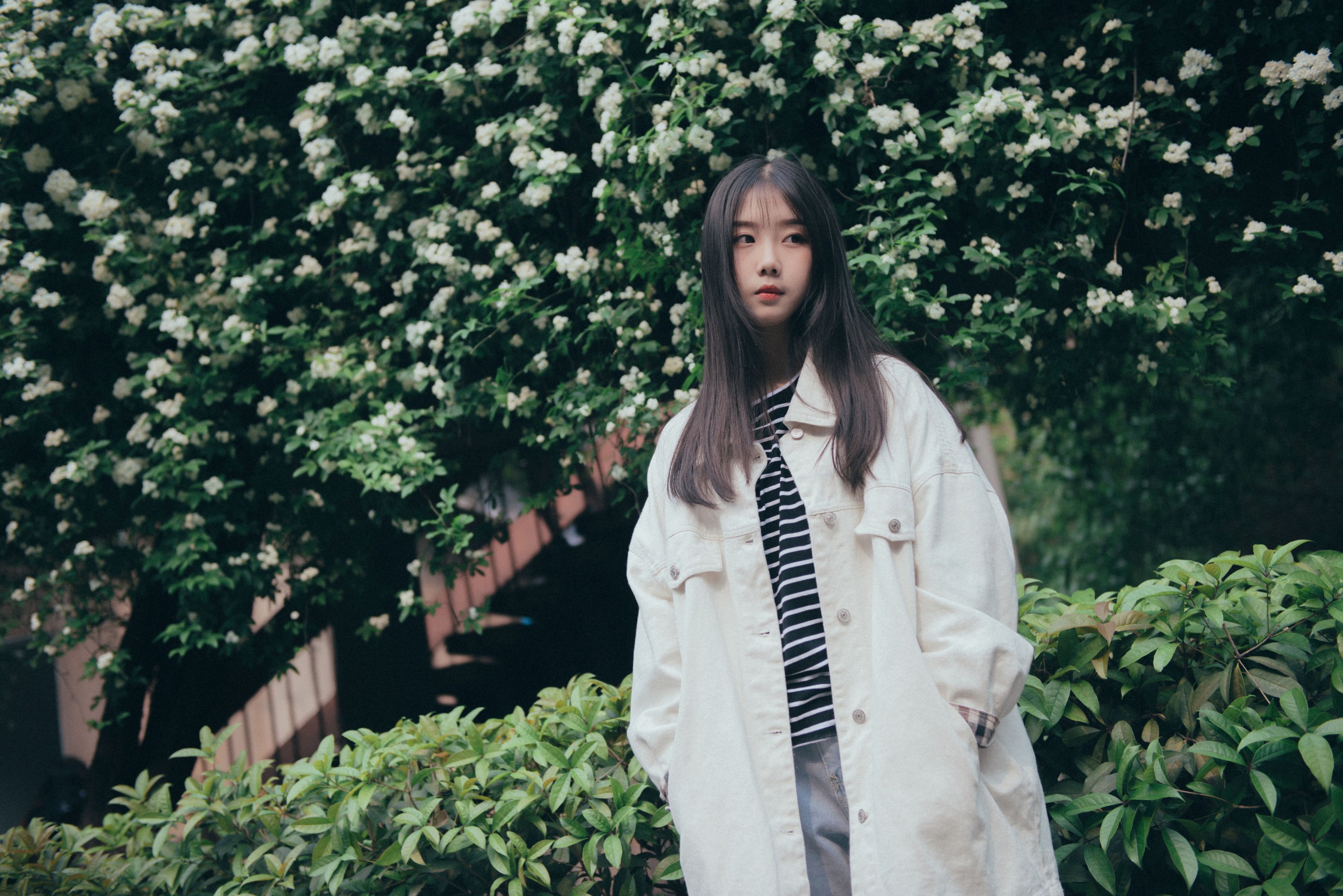 紫卿 – 《花开之时》[20P]