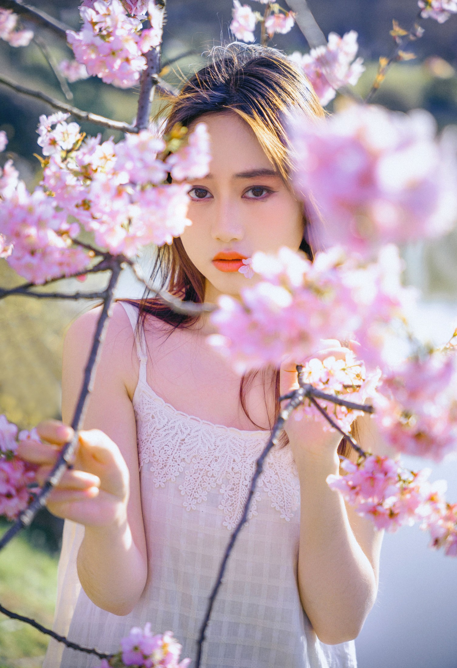 乐乐 – 《樱花物语》[22P]