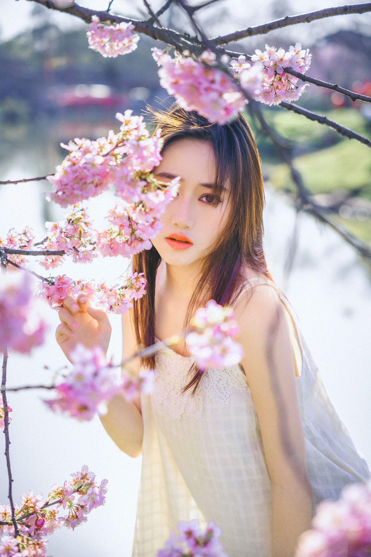 乐乐 – 《樱花物语》[22P]