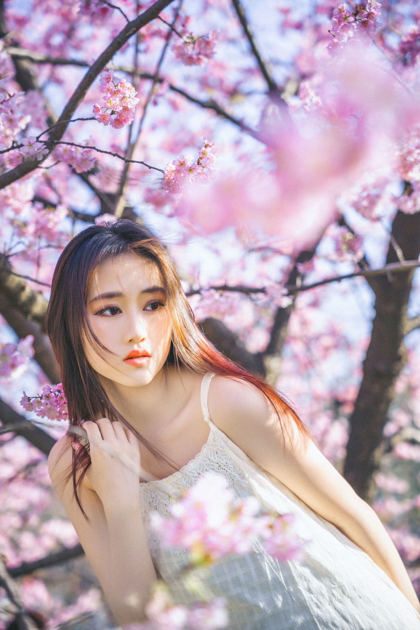 乐乐 – 《樱花物语》[22P]