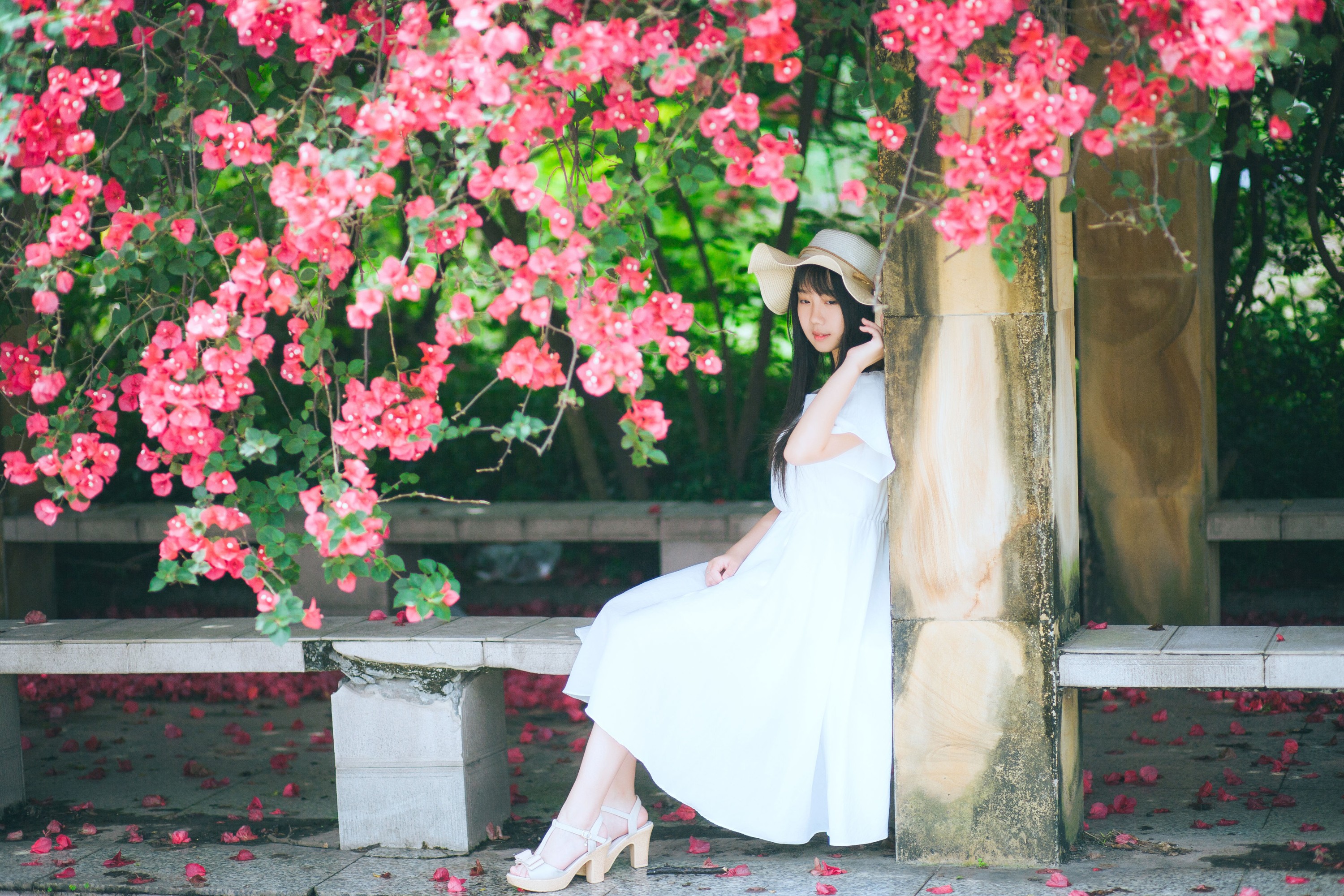 紫卿 – 《花和那姑娘》[23P]