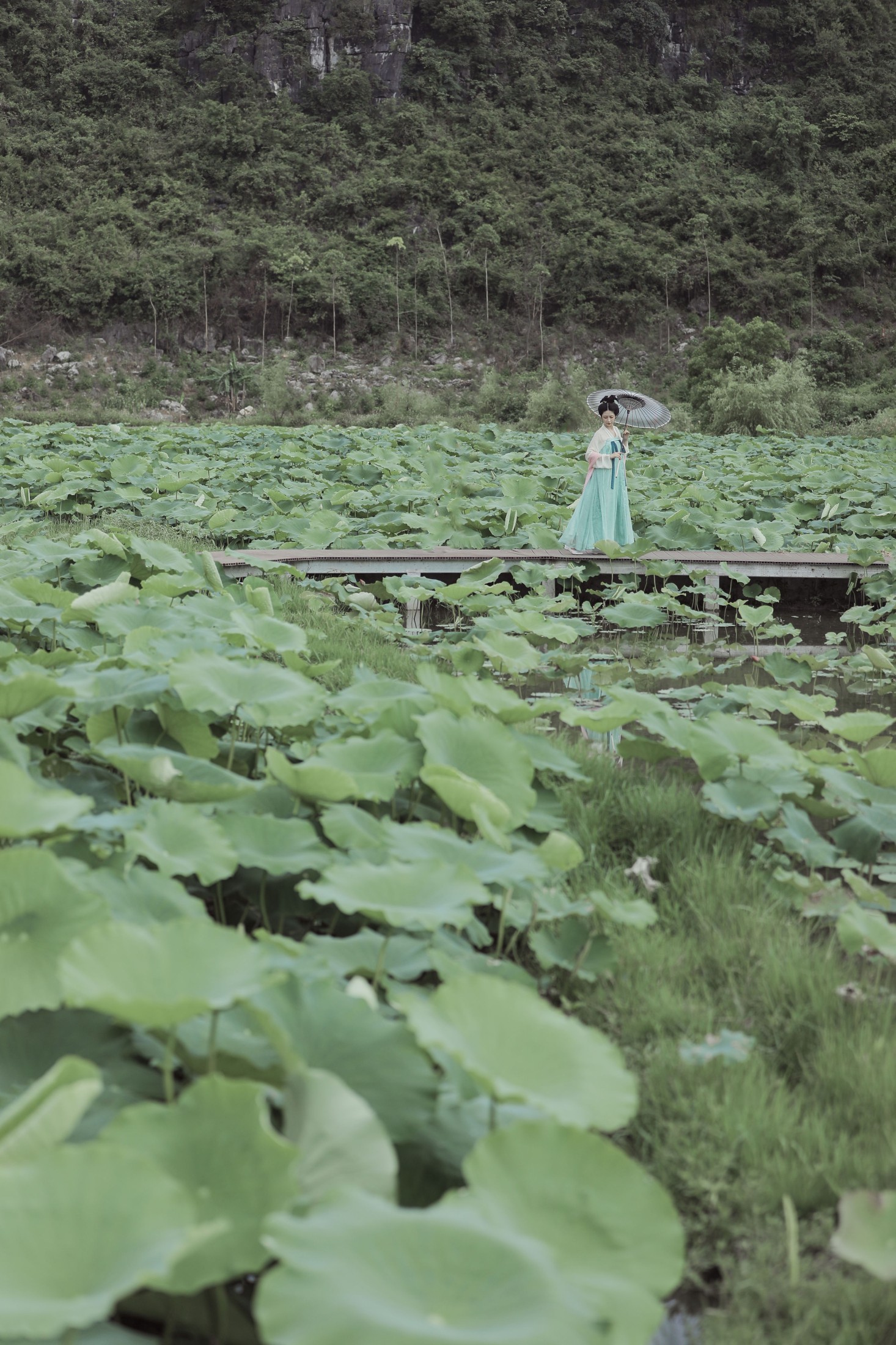 萍萍 – 《无穷碧》[22P]