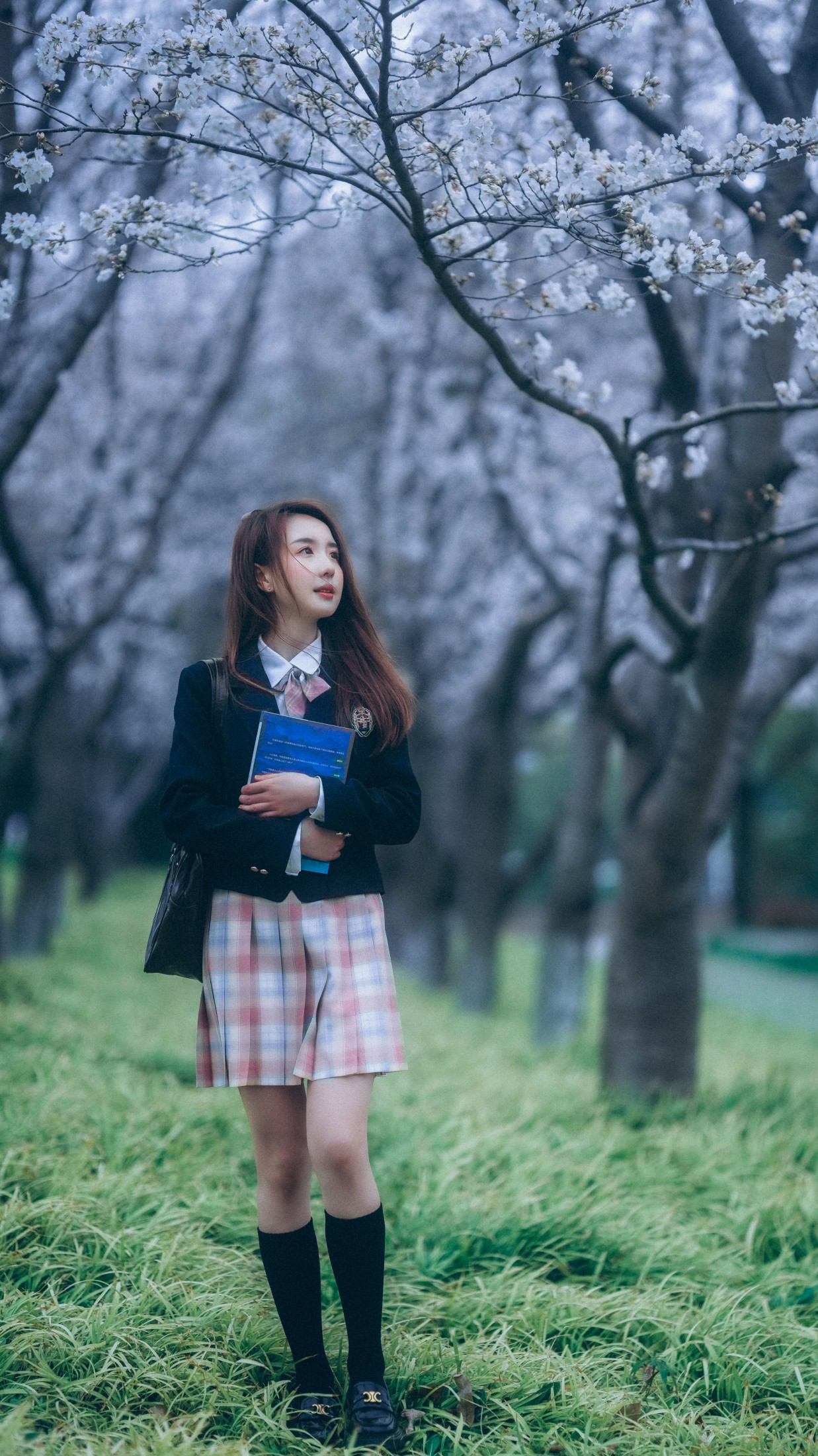 富贵 – 《少女与樱》[43P]