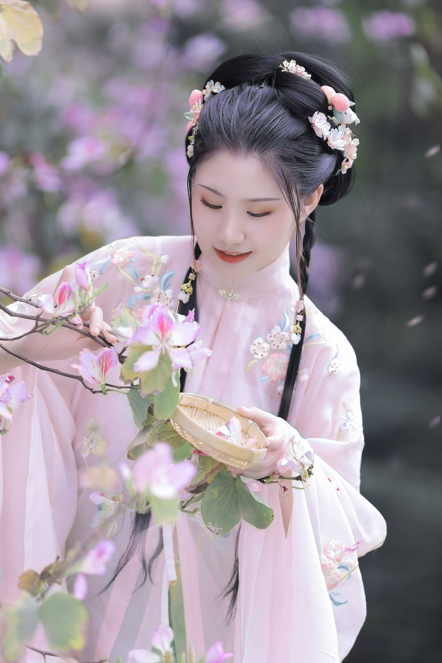 木木 – 《紫荆枝》[23P]