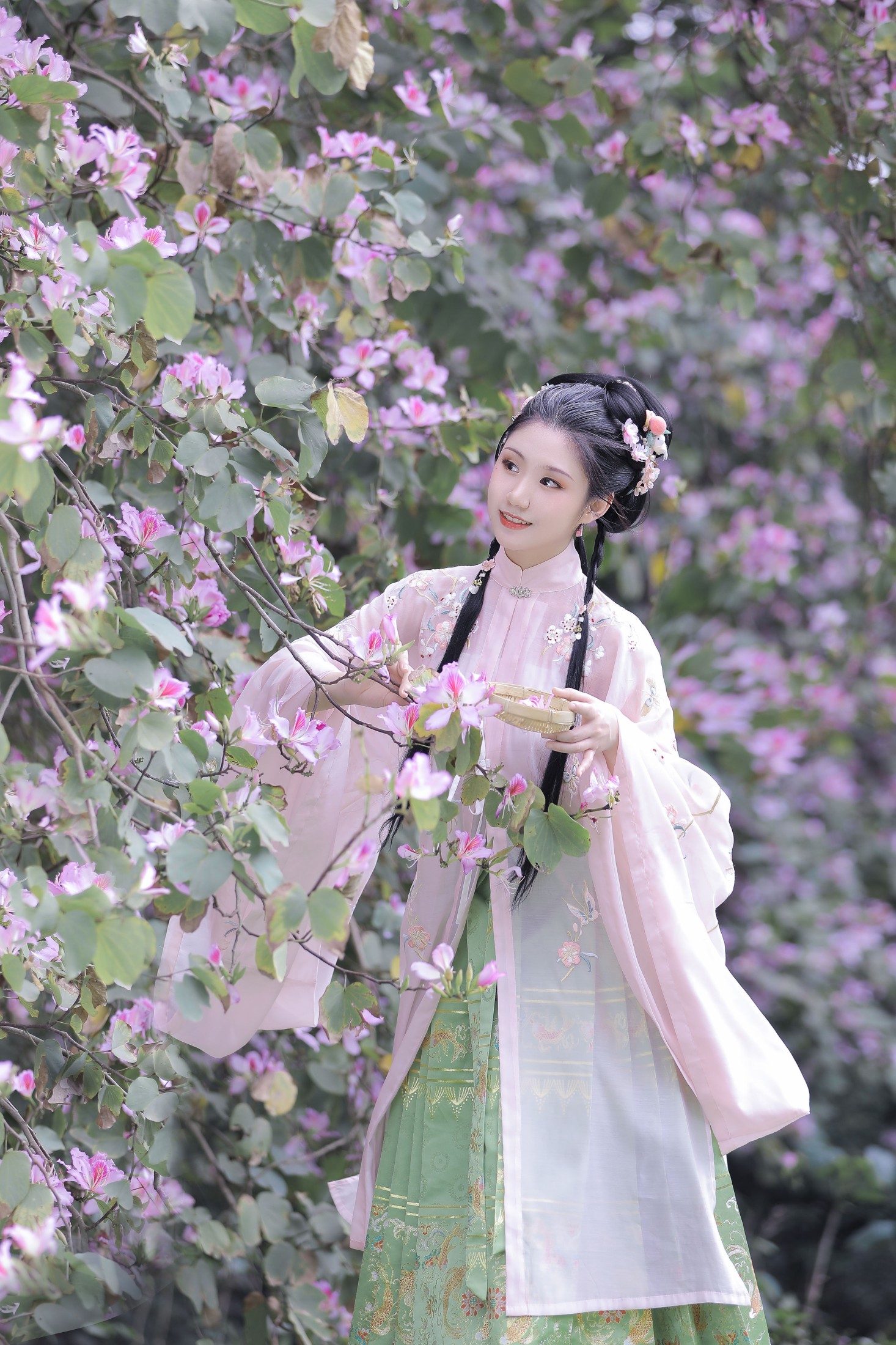 木木 – 《紫荆枝》[23P]