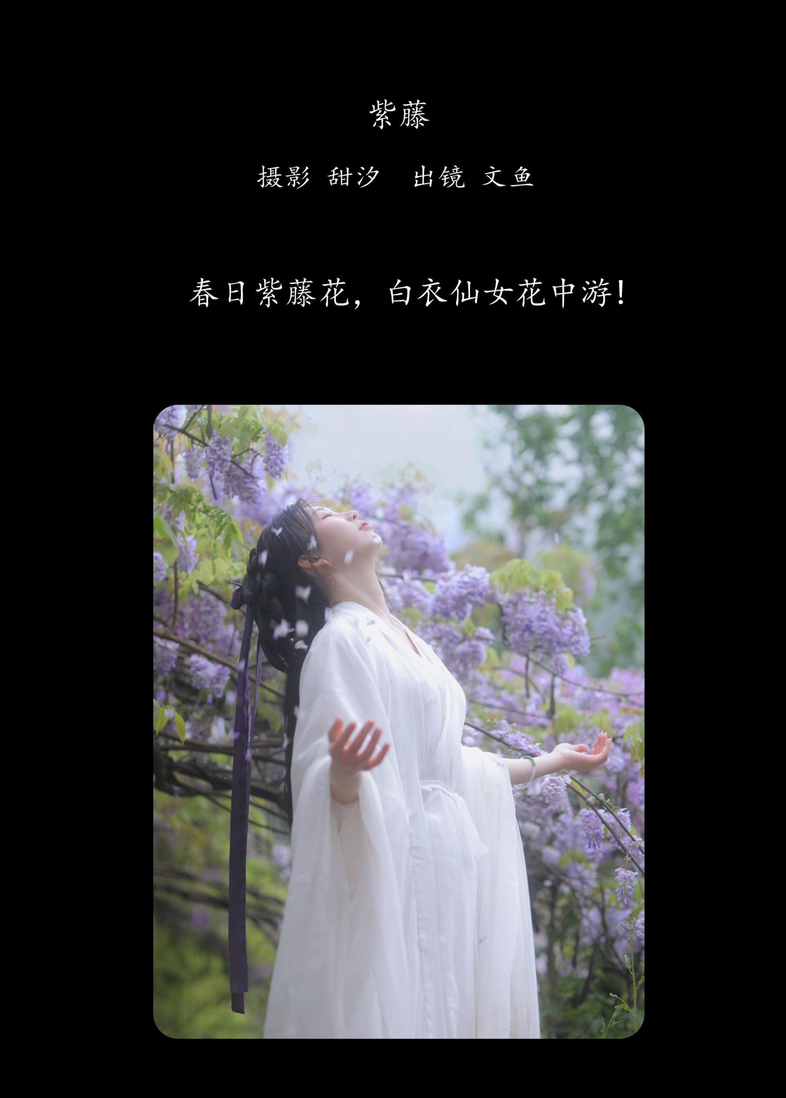 文鱼 – 《紫藤》[25P]