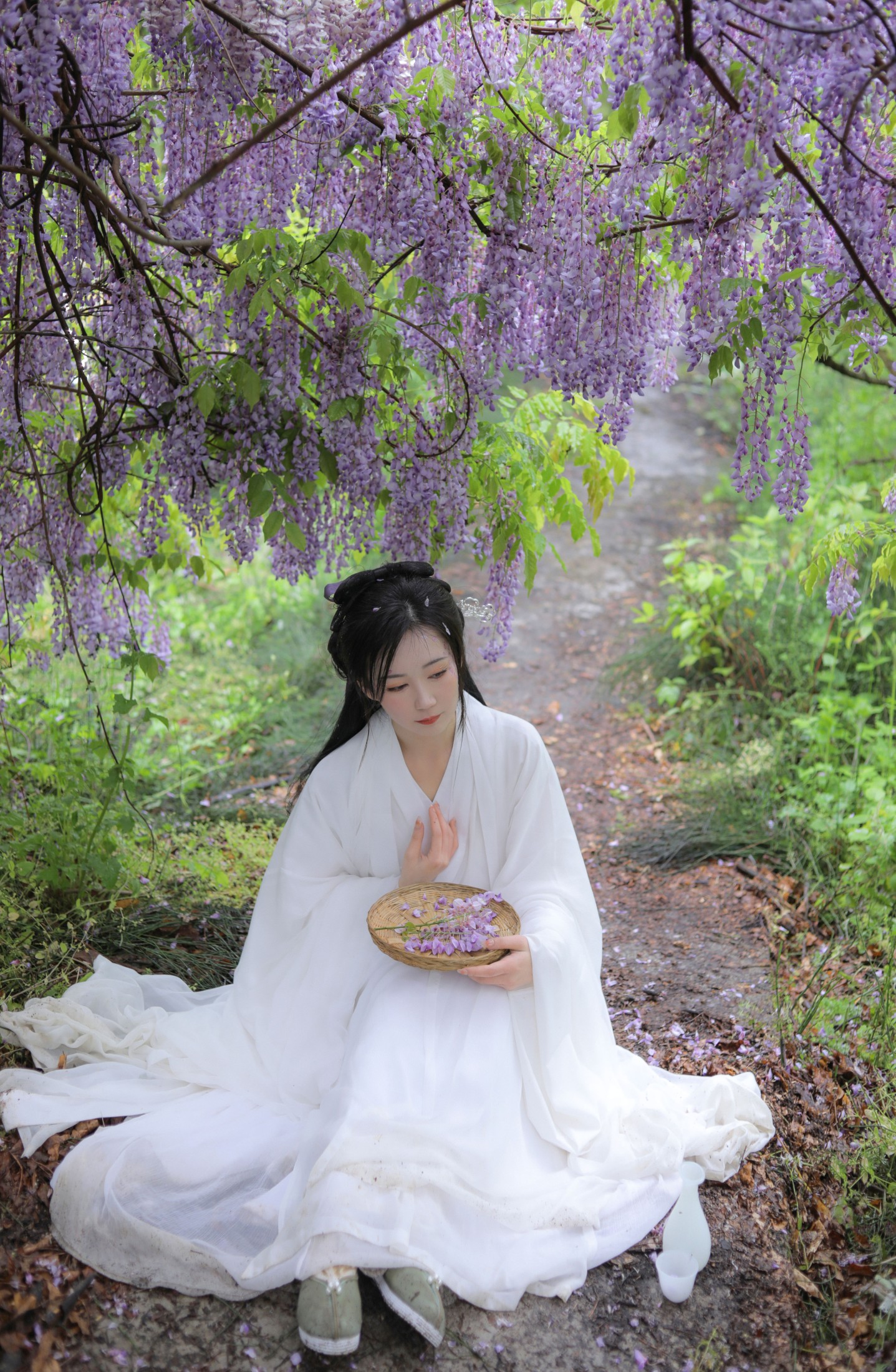 文鱼 – 《紫藤》[25P]