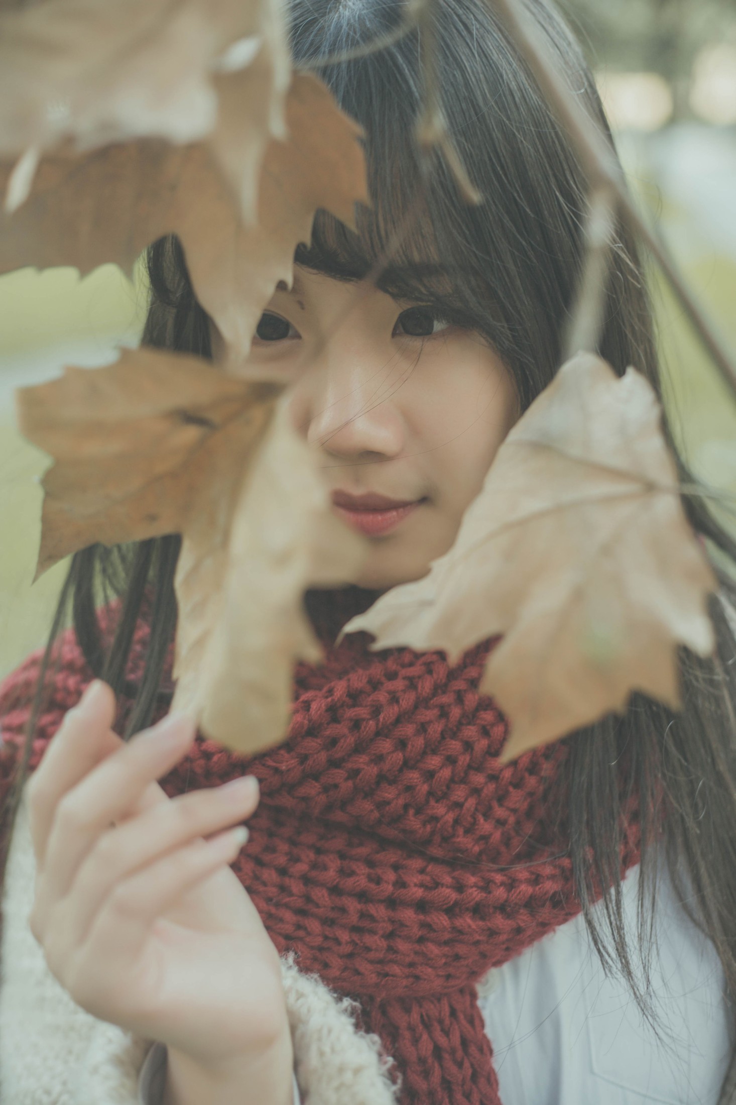 紫卿 – 《南国的冬》[26P]