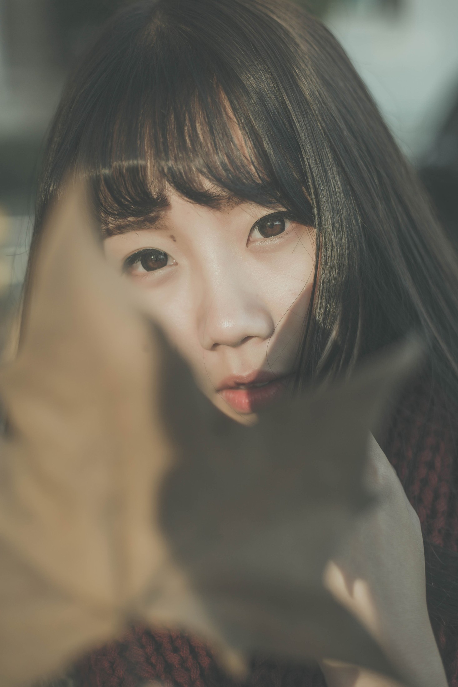 紫卿 – 《南国的冬》[26P]